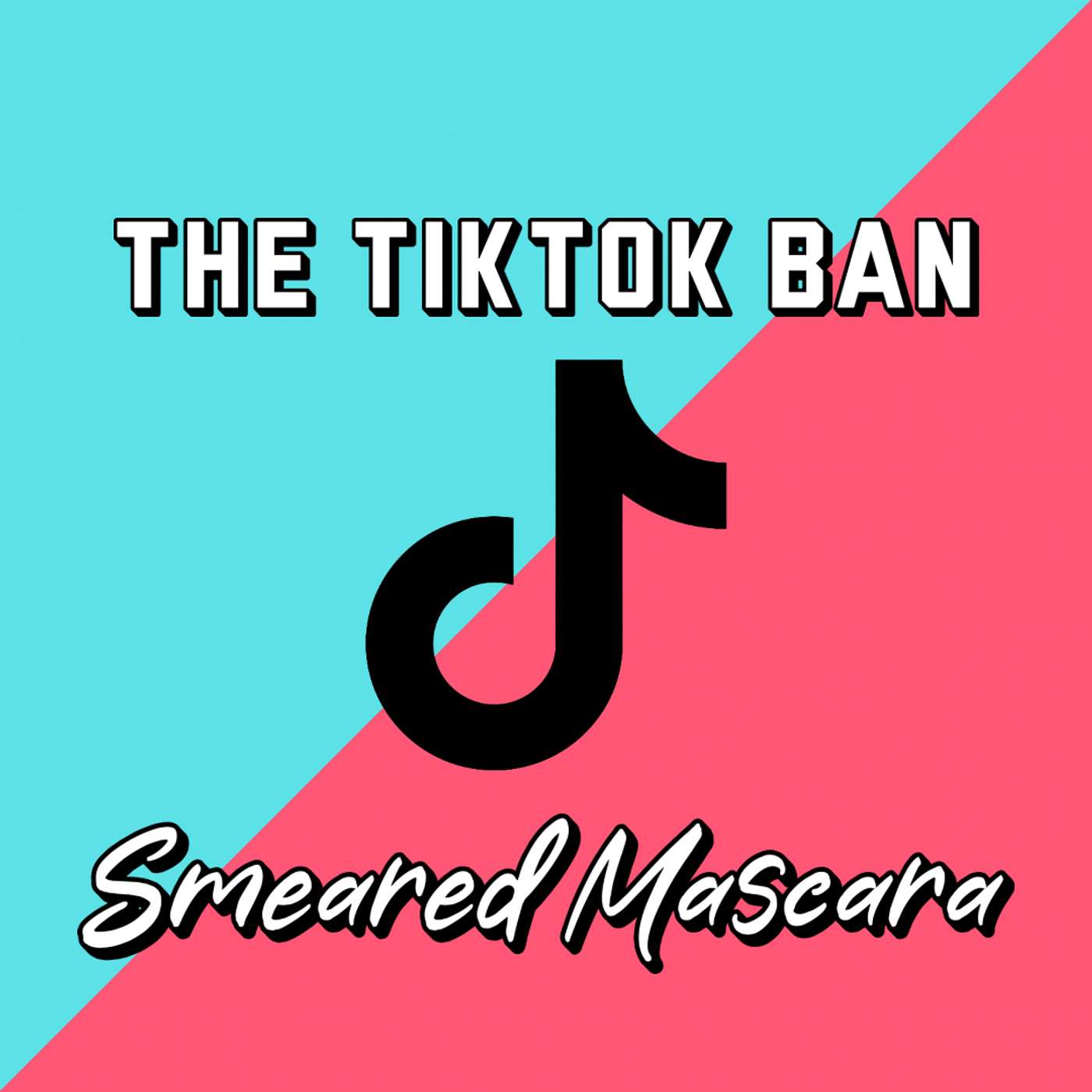 The Tiktok Ban