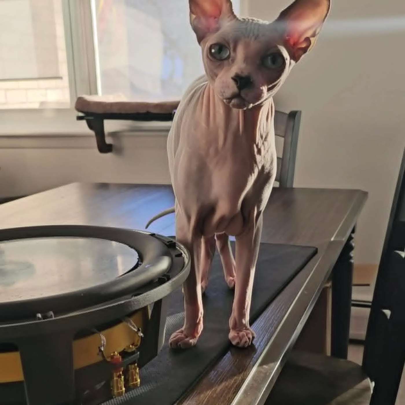 Inside The Data-Driven Subwoofer Revolution With Nick Apicella of ResoNix Inside The Data-Driven Subwoofer Revolution With Nick Apicella of ResoNix