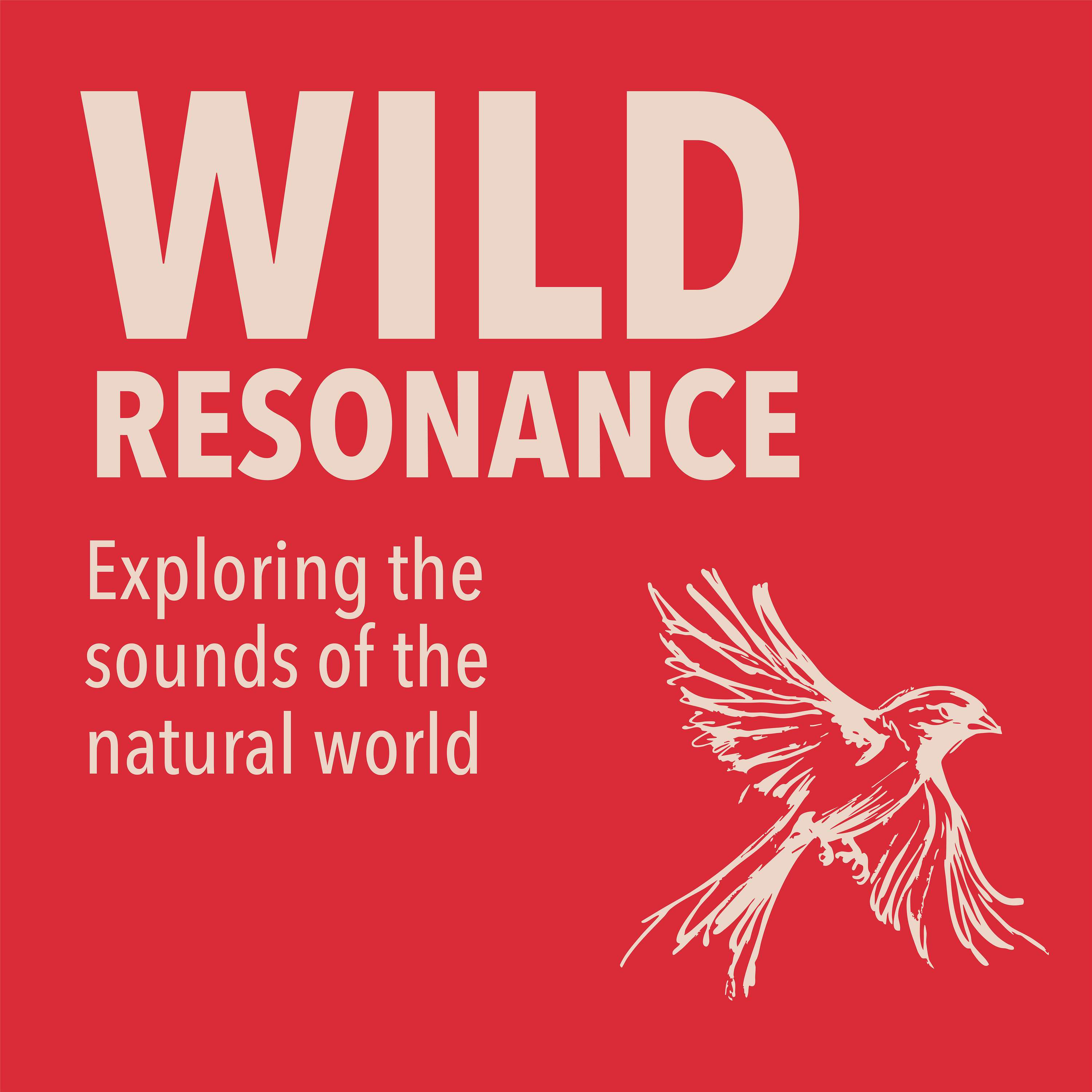 Wild Resonance podcast artwork