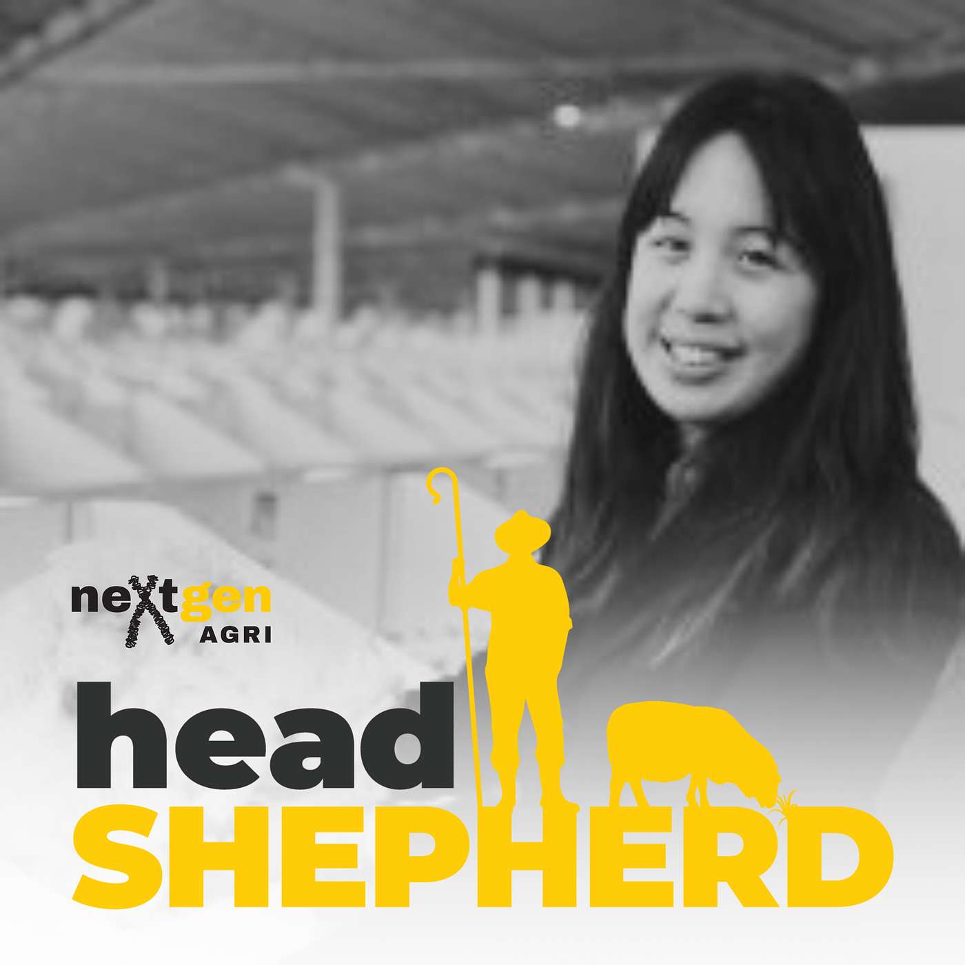 How innovation is changing the wool industry with Sam Wan How innovation is changing the wool industry with Sam Wan