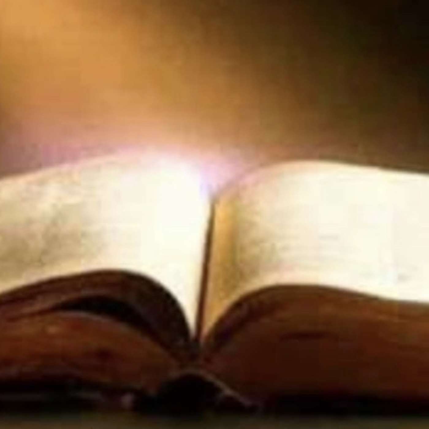 Sower of the seed part 1