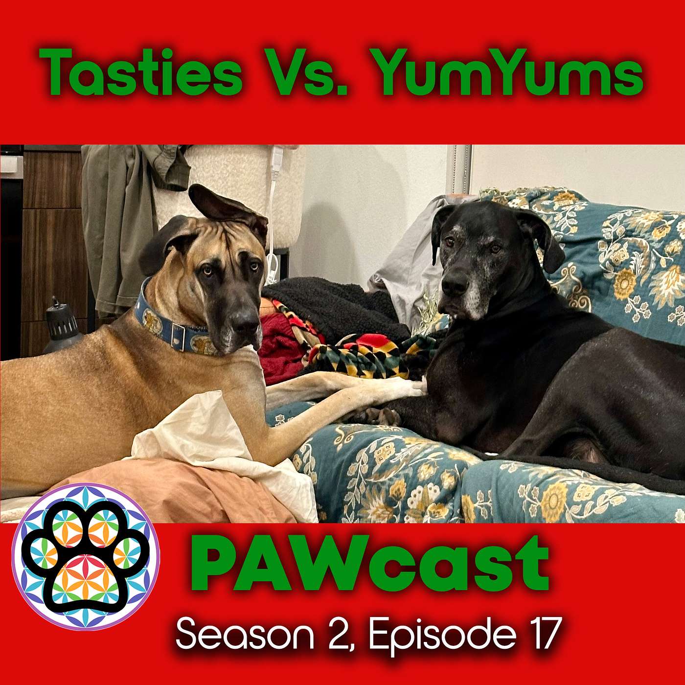 Thanks-Giving & The Difference Between Tasties & YumYums episode artwork