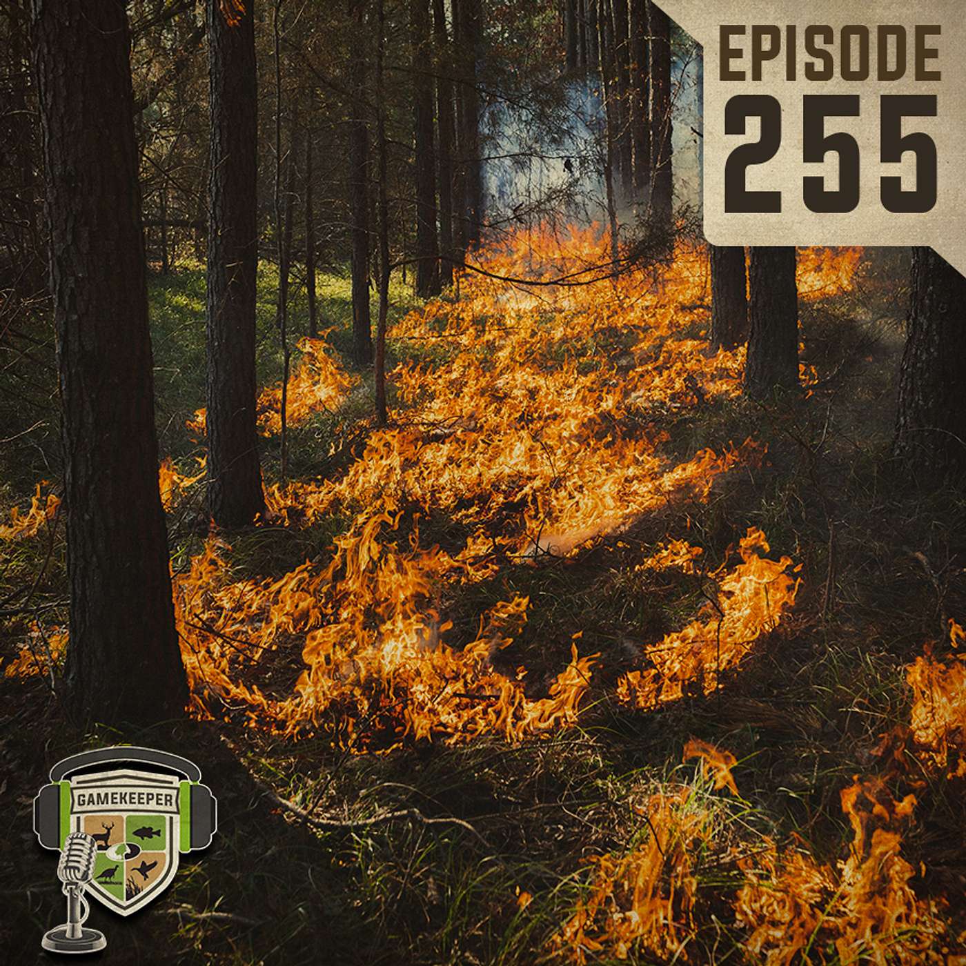 EP:255 | Extensive New Fire Data with Dr. Craig Harper