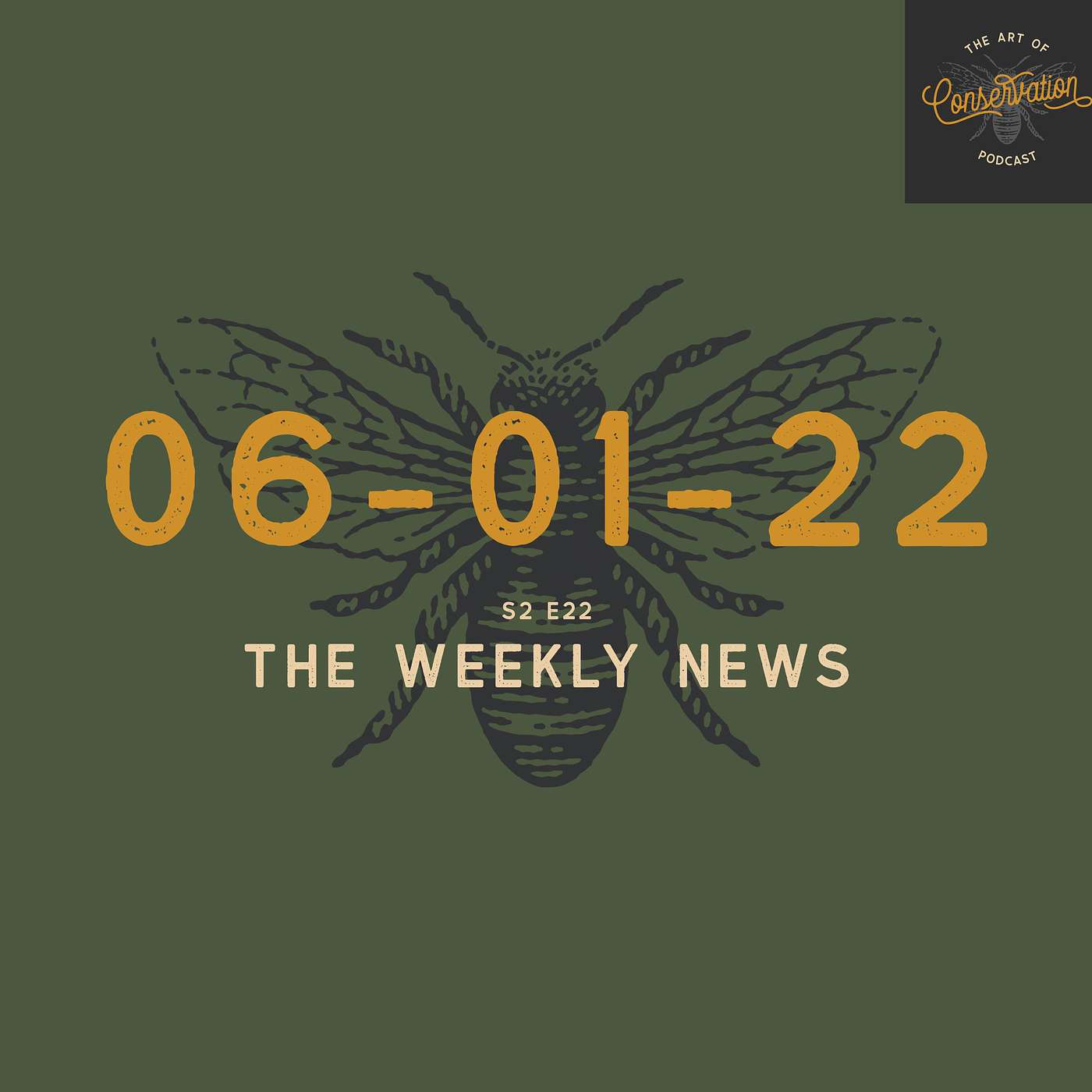 S2 E22 - The Weekly News 06-01-2022 with Shannon Elizabeth, Peter Borchert & Simon Borchert