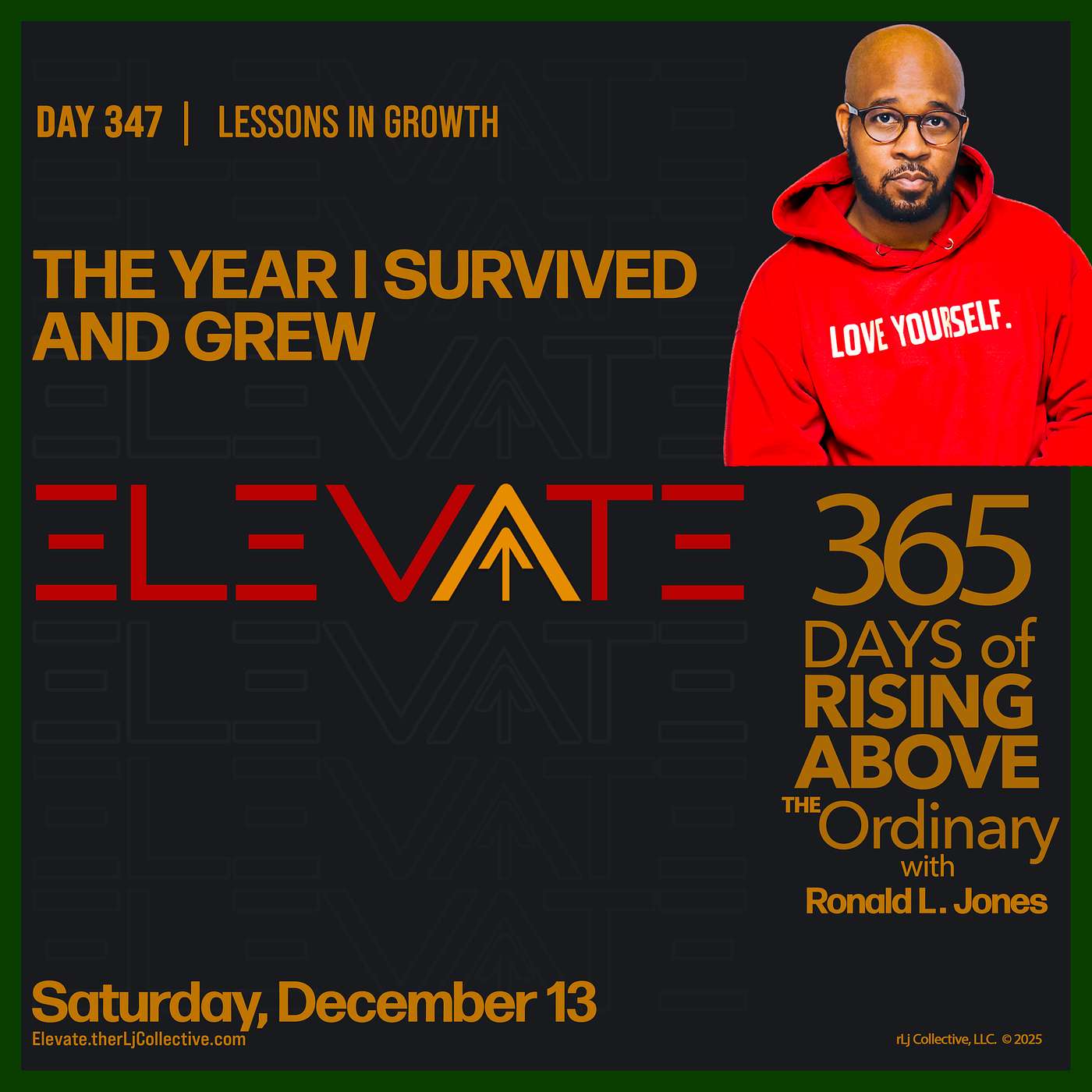 Day 347: The Year I Survived and Grew