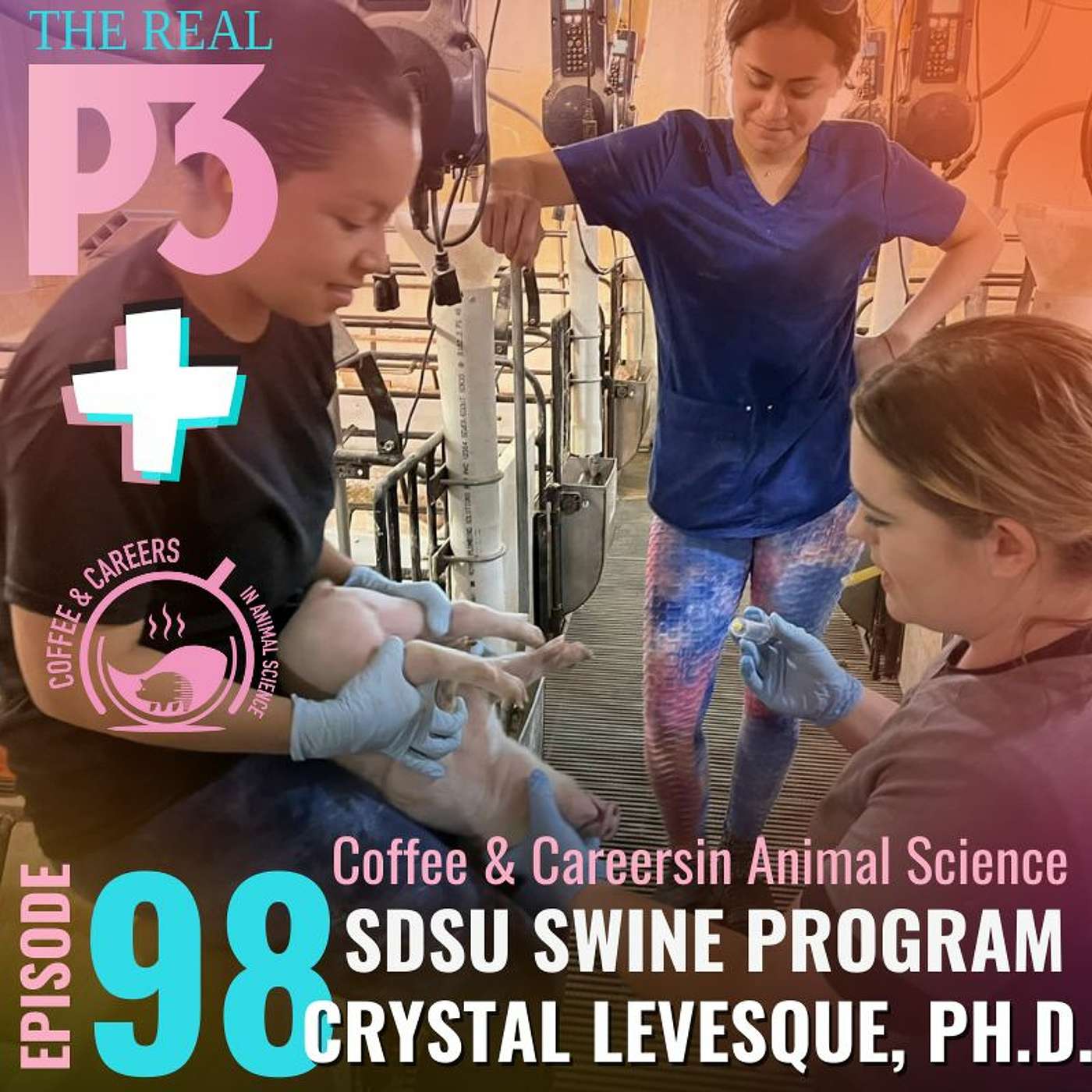 The Real P3