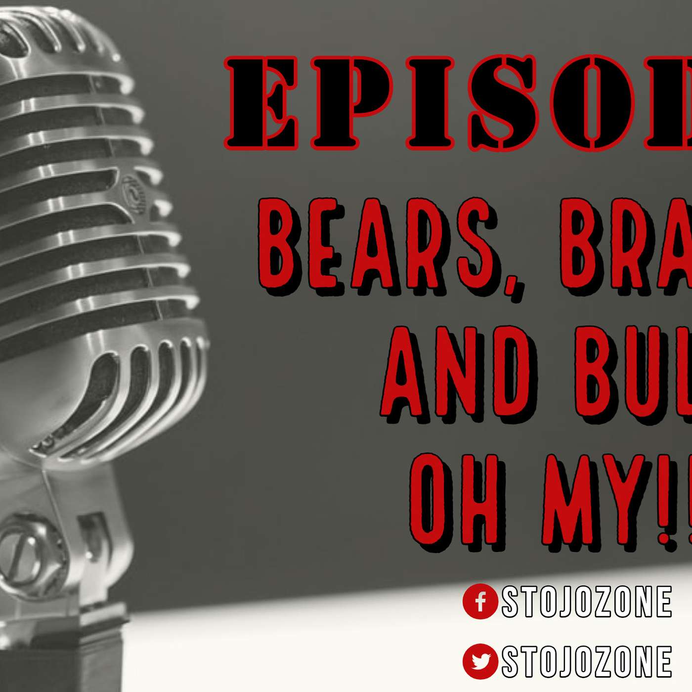 The Stojo Zone # 4 Bears, Brandon & Bulls Oh My!!!!!