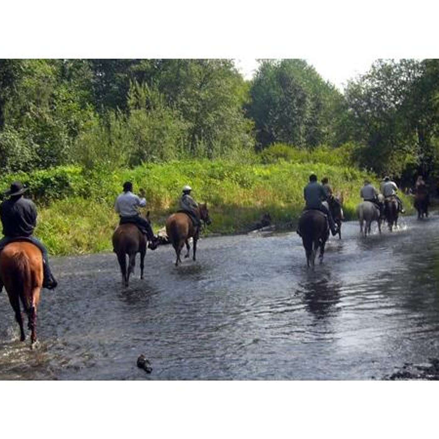 It's SADDLE UP SATURDAY! on EQUESTRIAN LEGACY RADIO