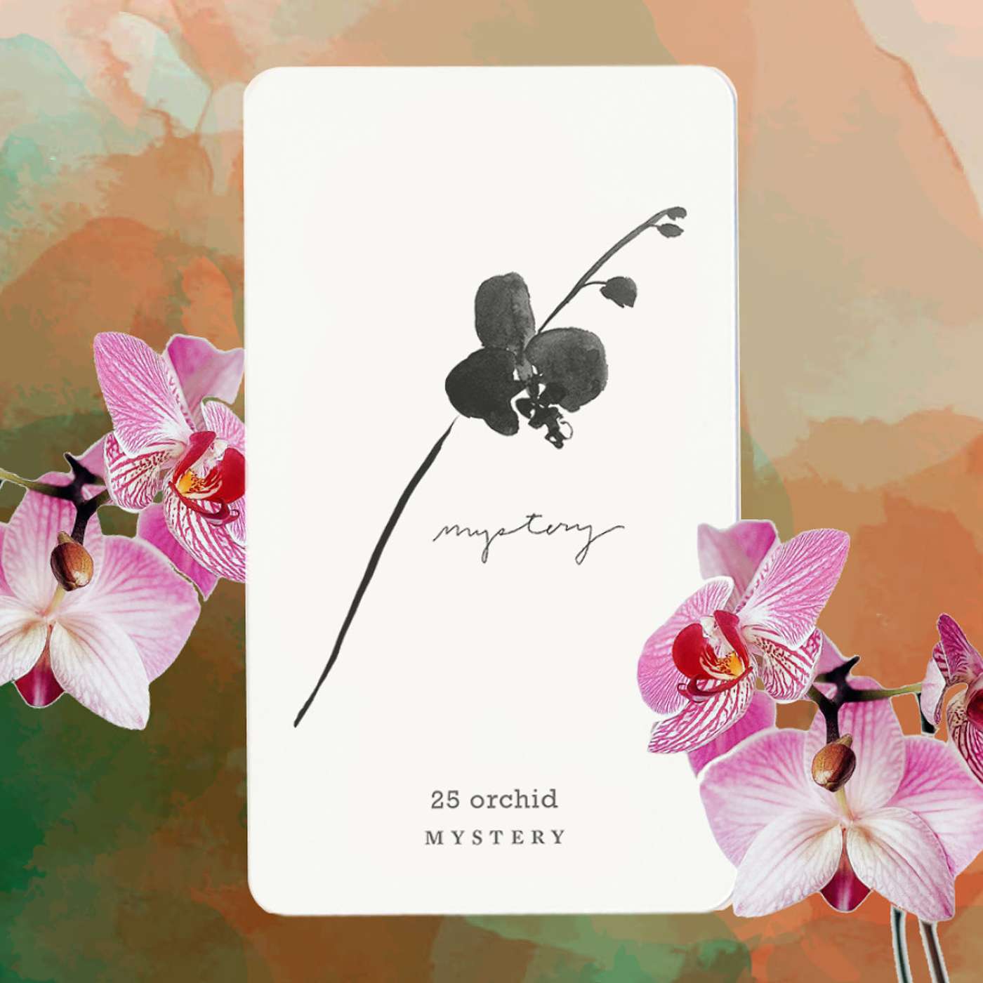 Gratitude Blooming Podcast