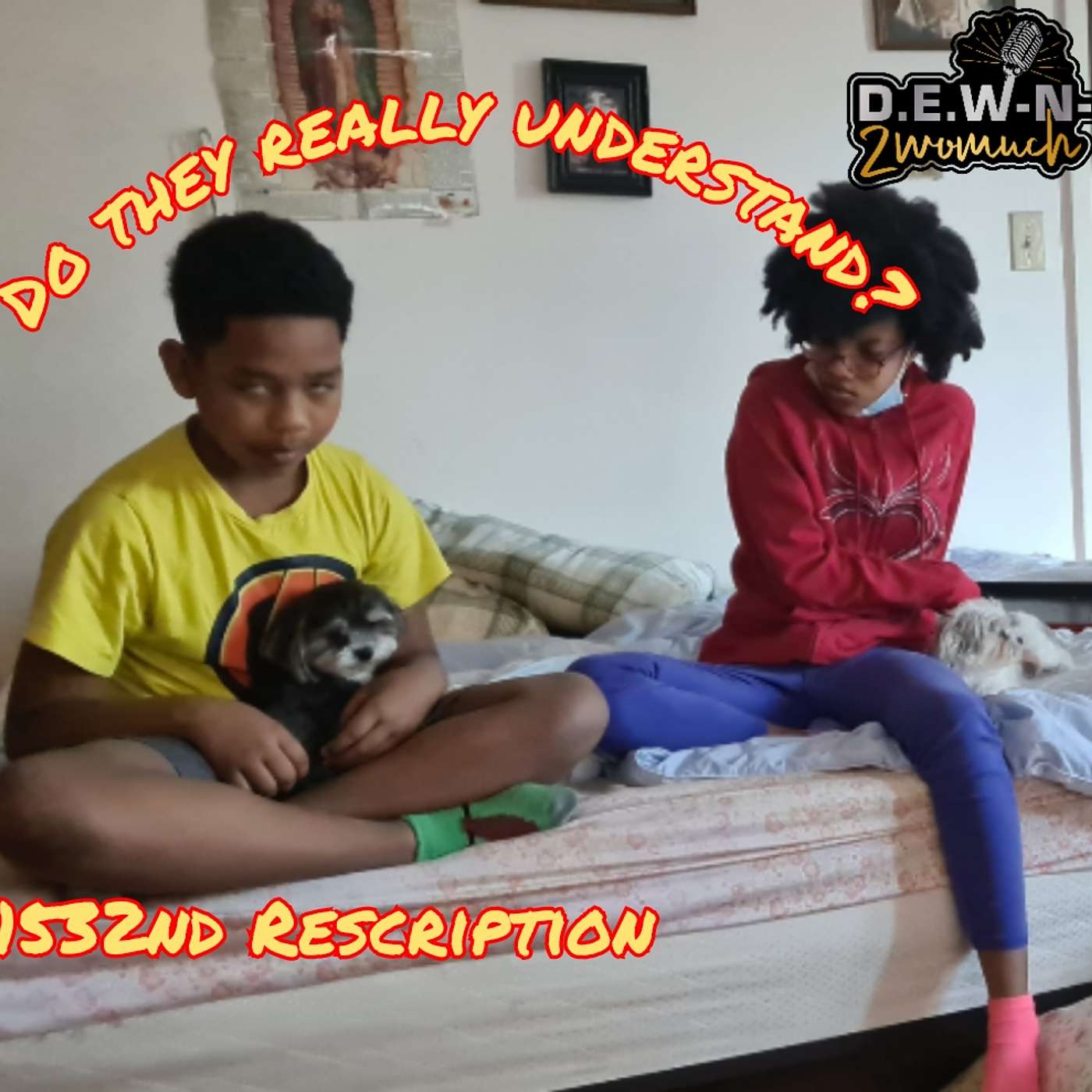 1532nd Rescription: Do you really think they understand?