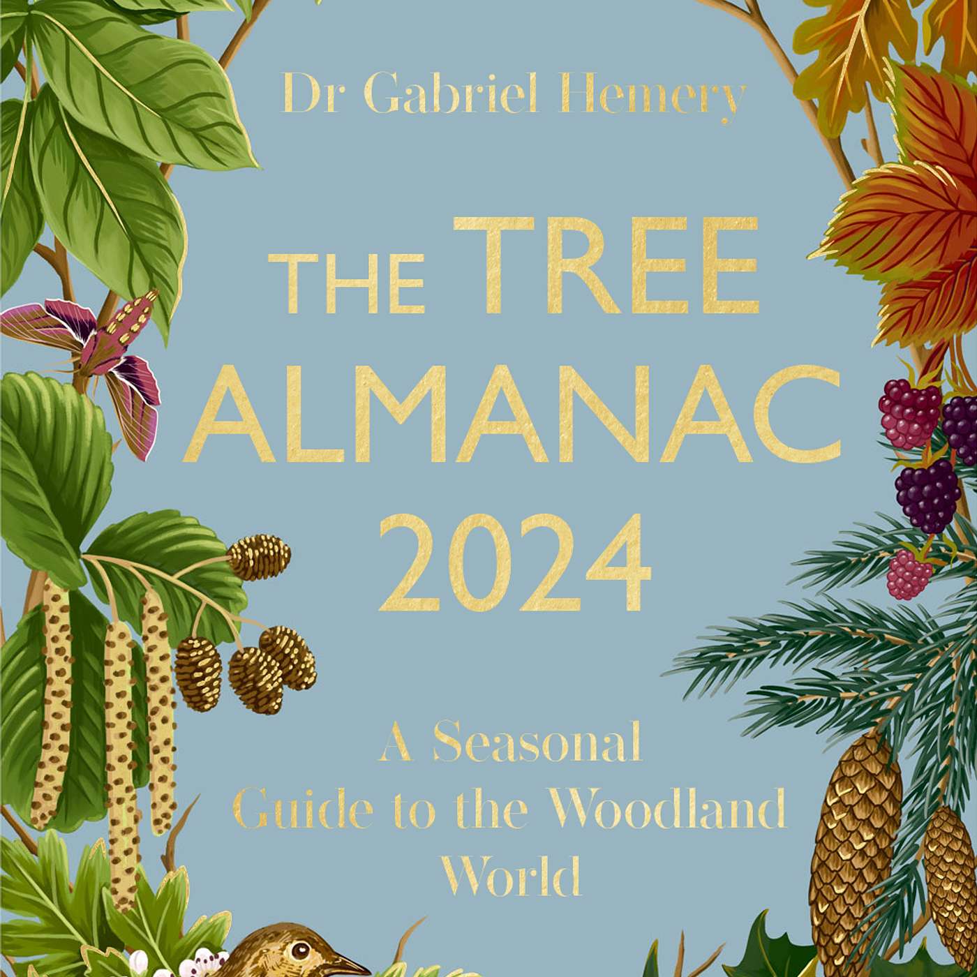 Christmas Tree Special with Dr Gabriel Hemery - The Tree Almanac 2024 -