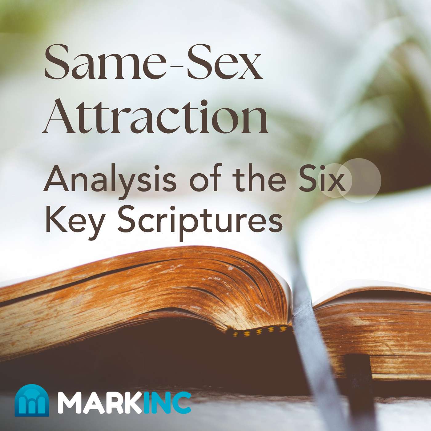 Same-Sex Attraction, Part 2: Analysis of the Six Key Scriptures