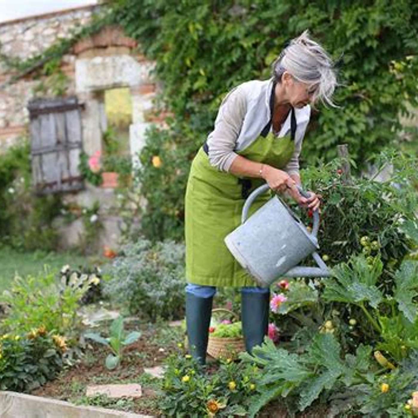gardening ideas from a deceased friend! episode artwork