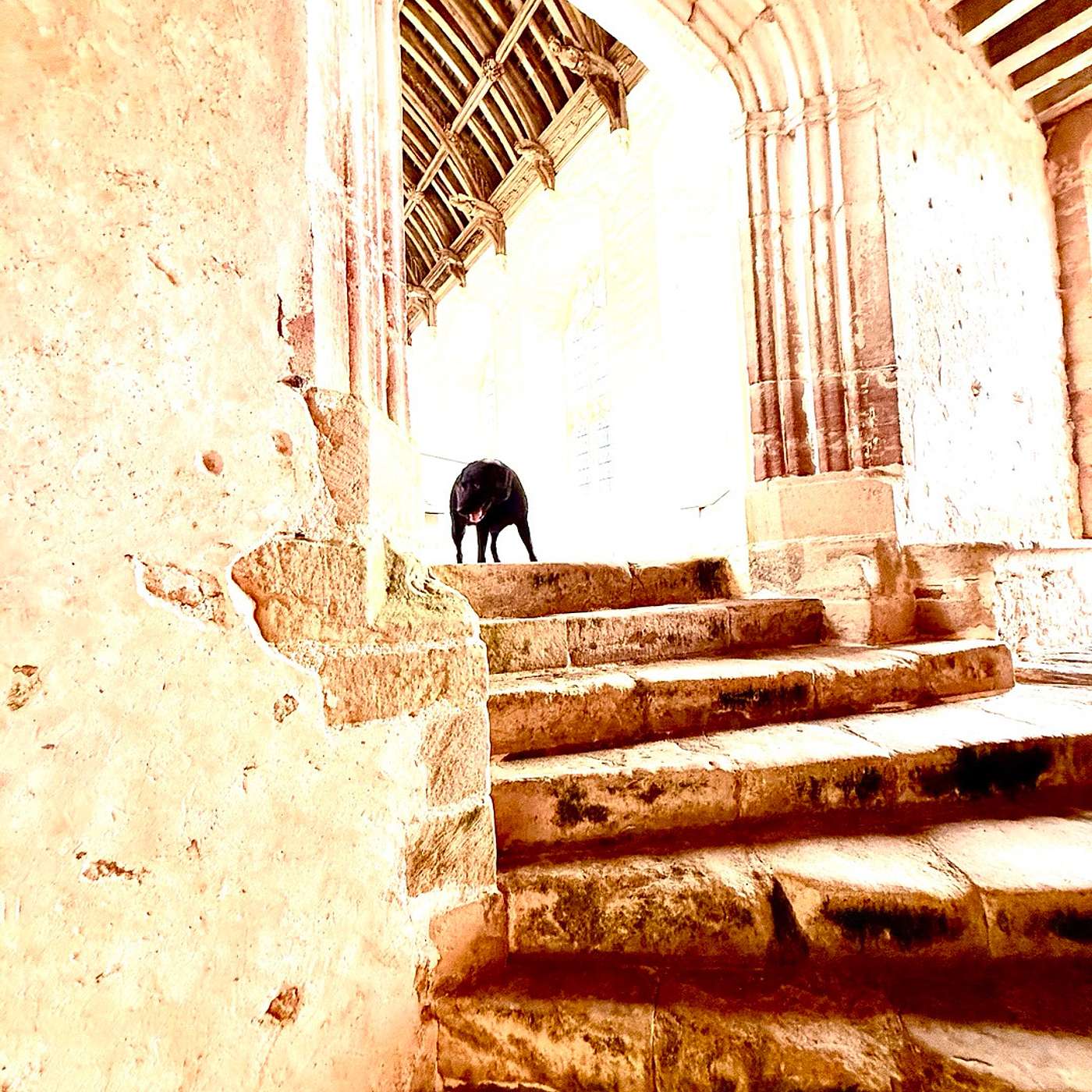 Pepys Sings Gaze Not Upon Swans 🦢; Three Men and Their Boat; and we ponder the ancient Washing of Feet and Hands 🙌🏻