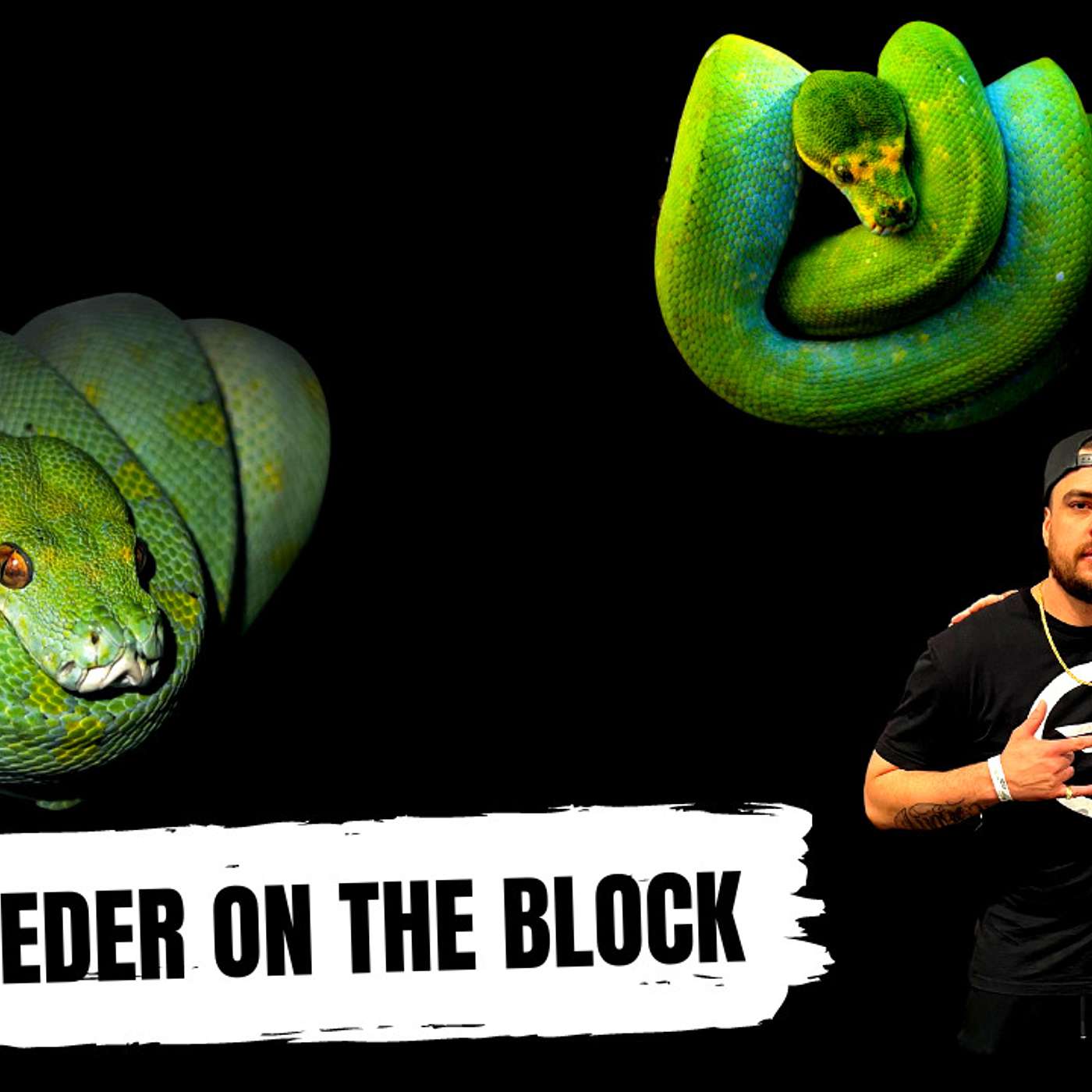 The Real Young OG Of The Reptile Game | Aiden Bradley