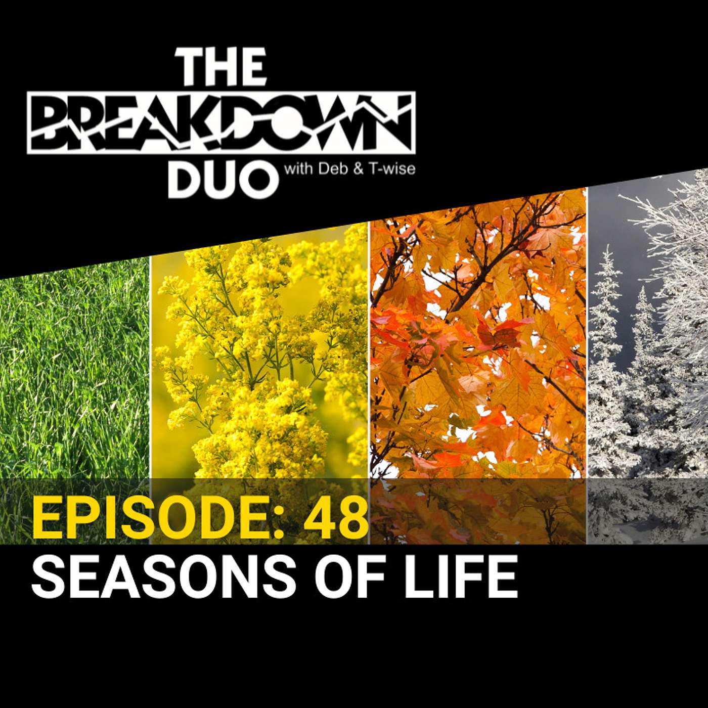 SEASONS OF LIFE