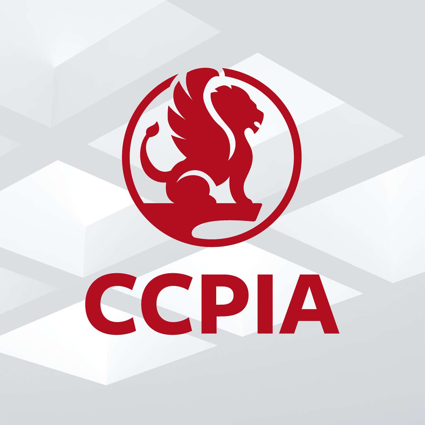 BONUS EPISODE: Cost to Remedy Service Basics