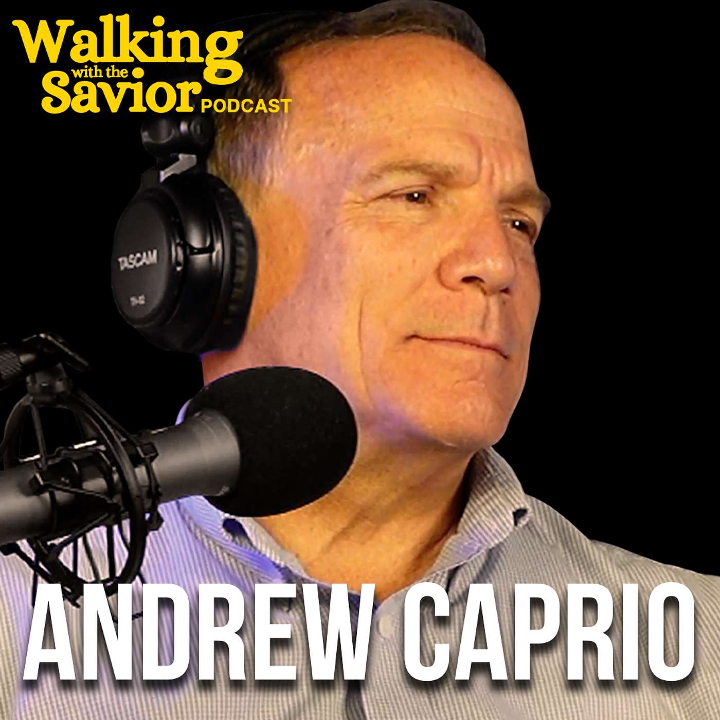 Walking with the Savior - Testimonies of Jesus Christ in Christian Lives