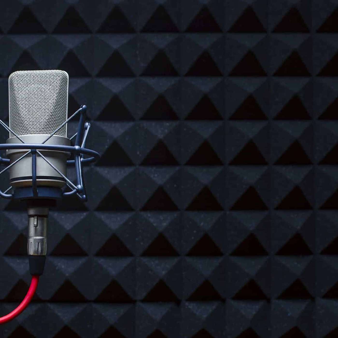 Rileys recording episode artwork