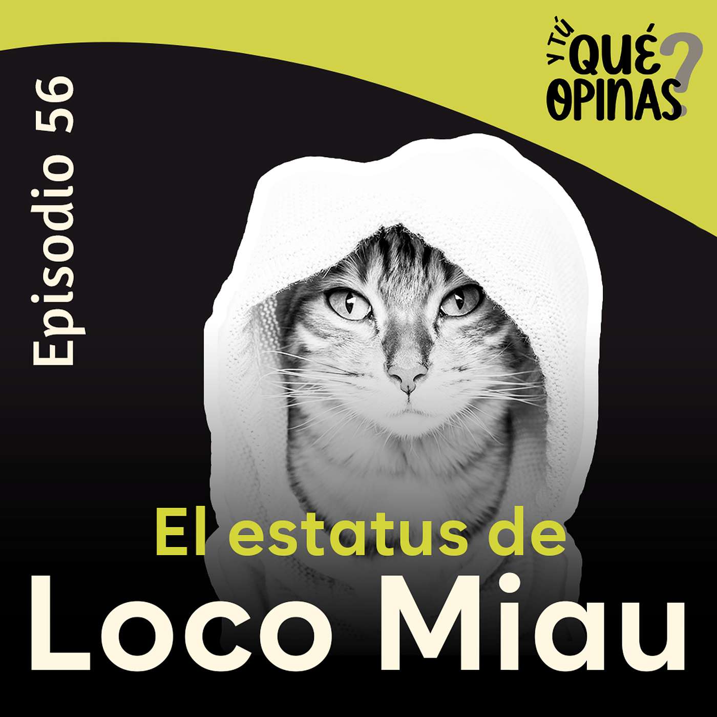 Y tú, ¿qué opinas?