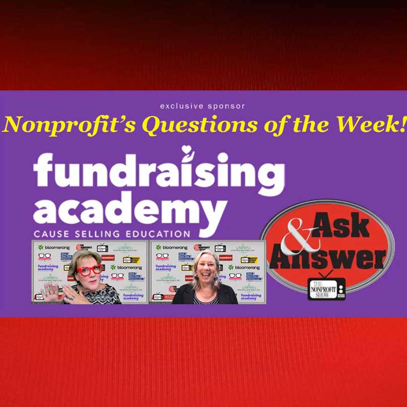 Amazing Nonprofit's Questions This Week