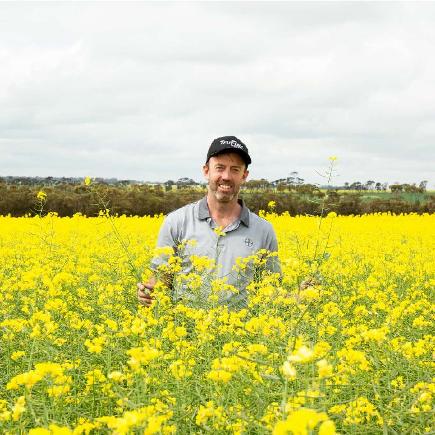 What the lifting of SA's GM moratorium means for growers