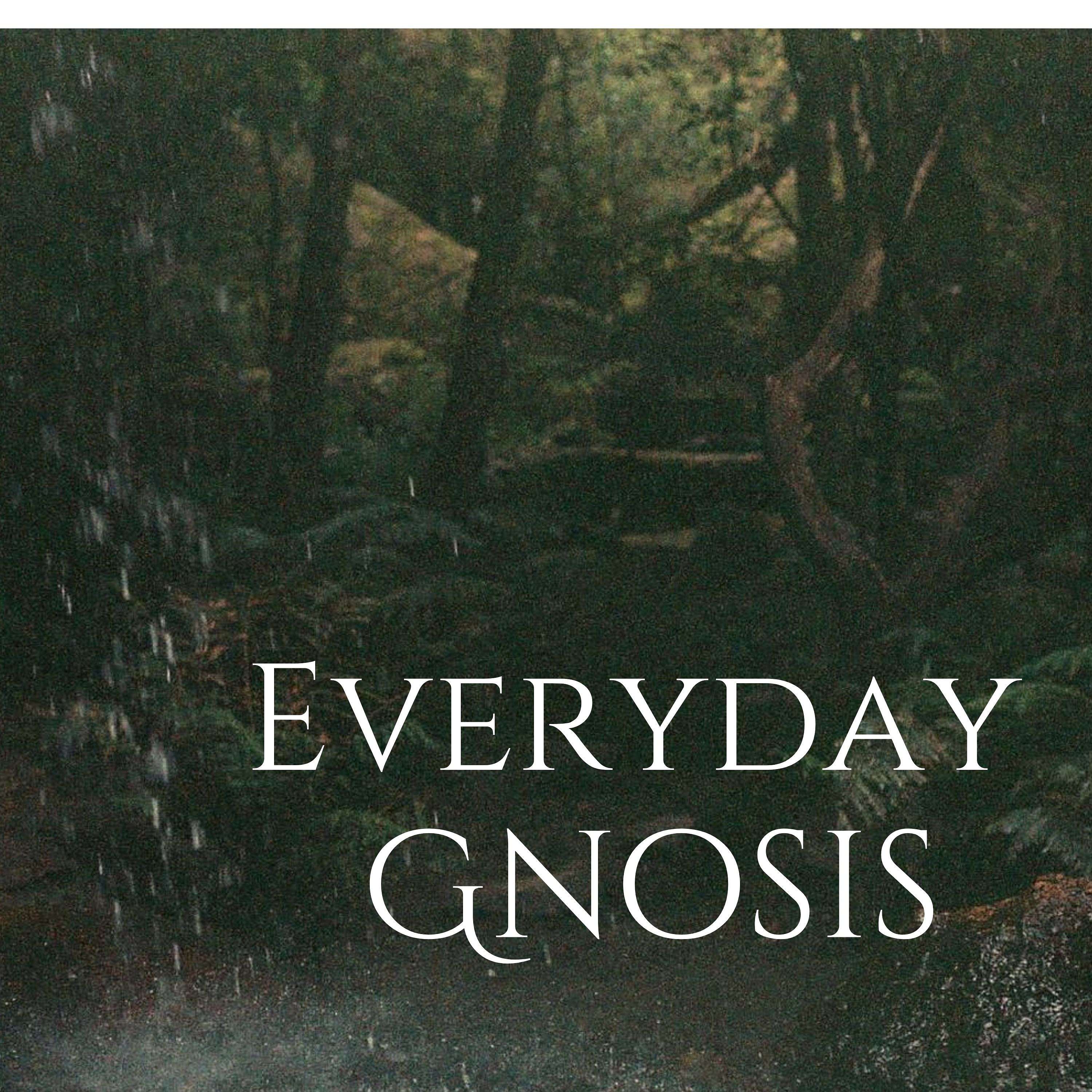 Everyday Gnosis