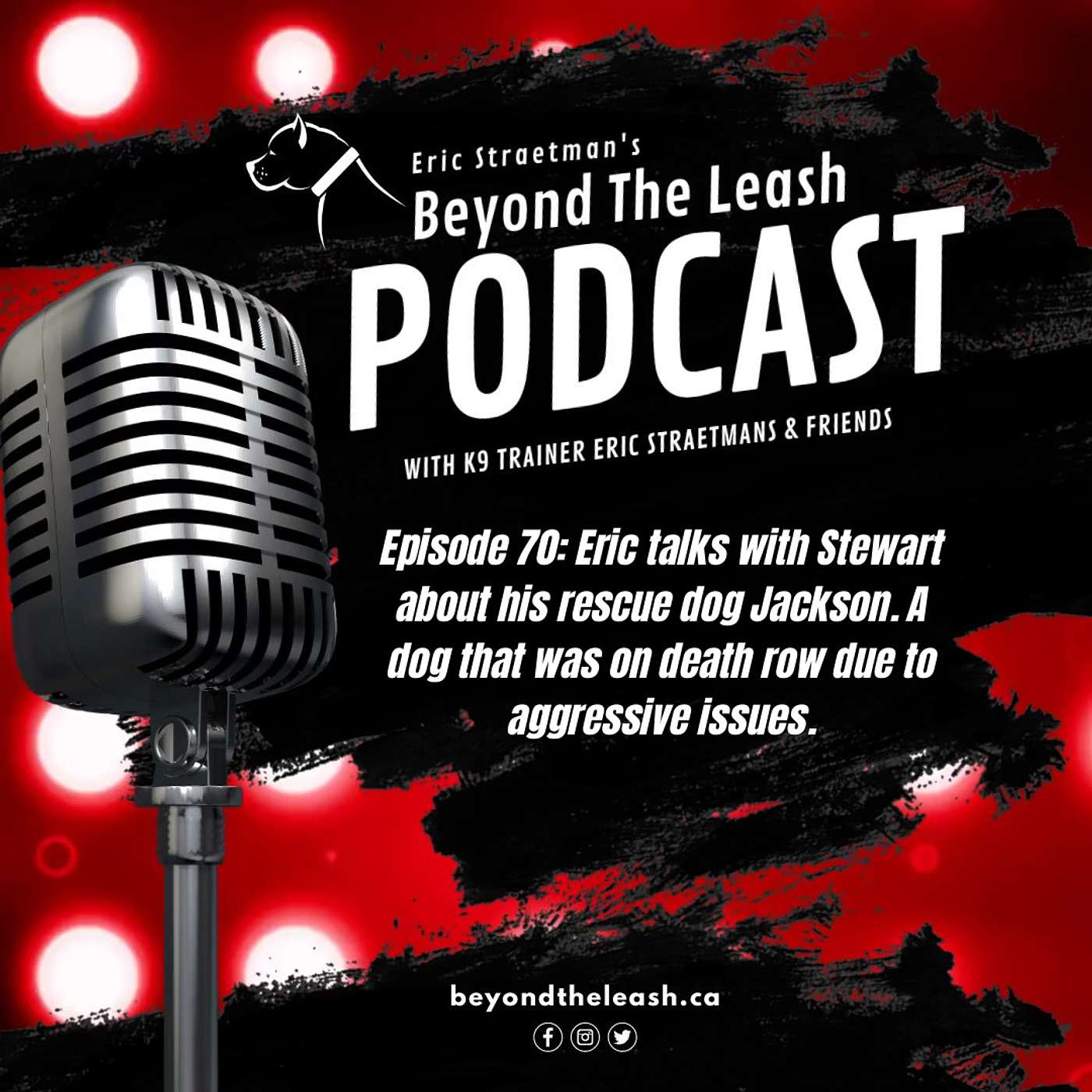 Beyond The Leash