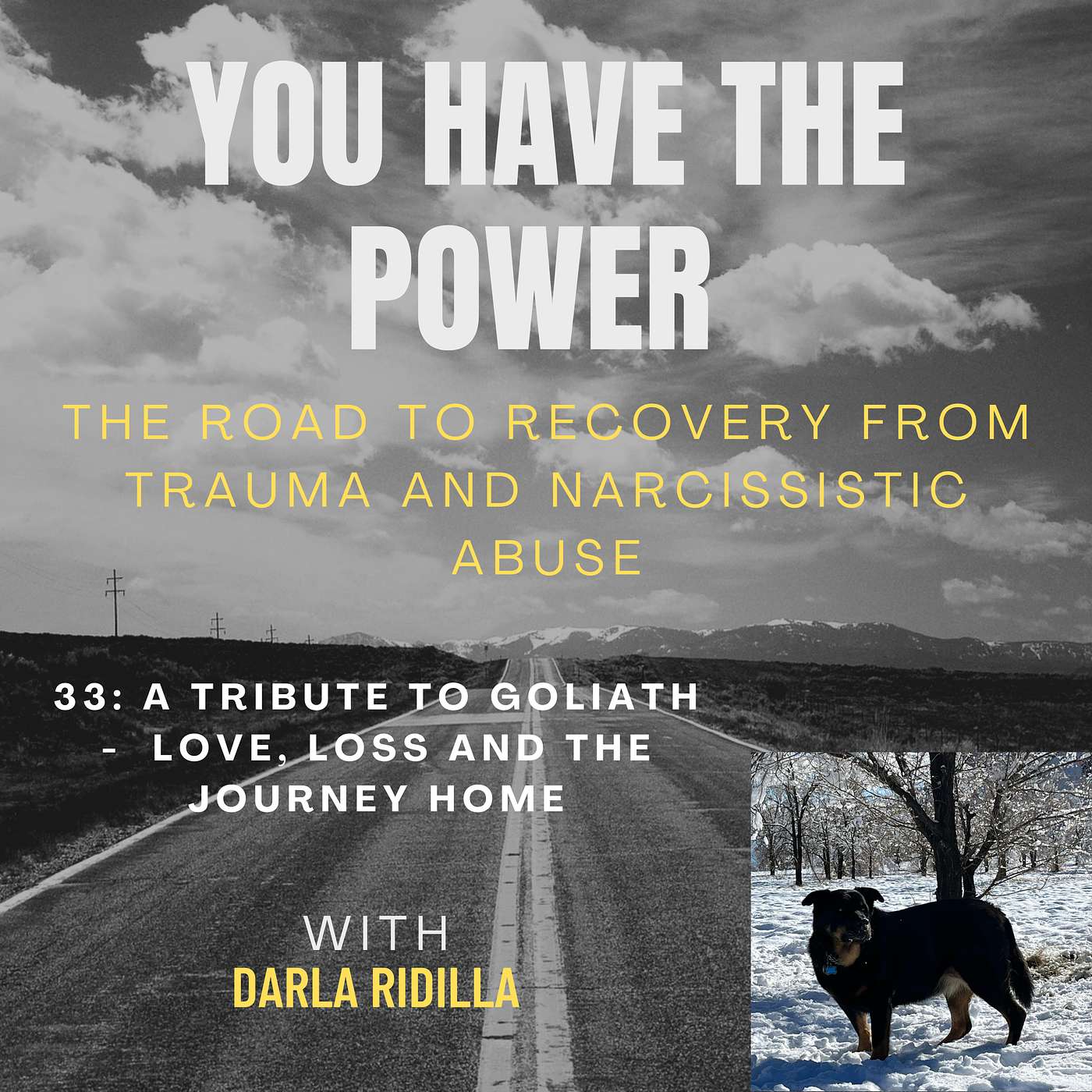 You Have the Power - The Road to Truth, Freedom and Real Connection