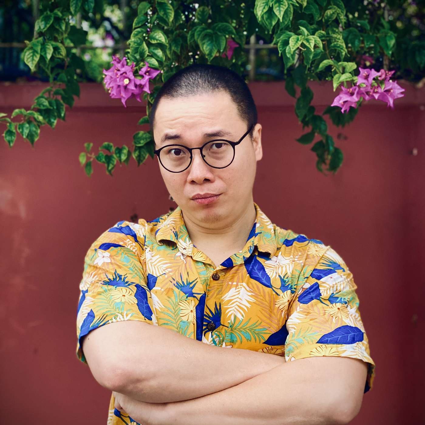 Hổng giống ai