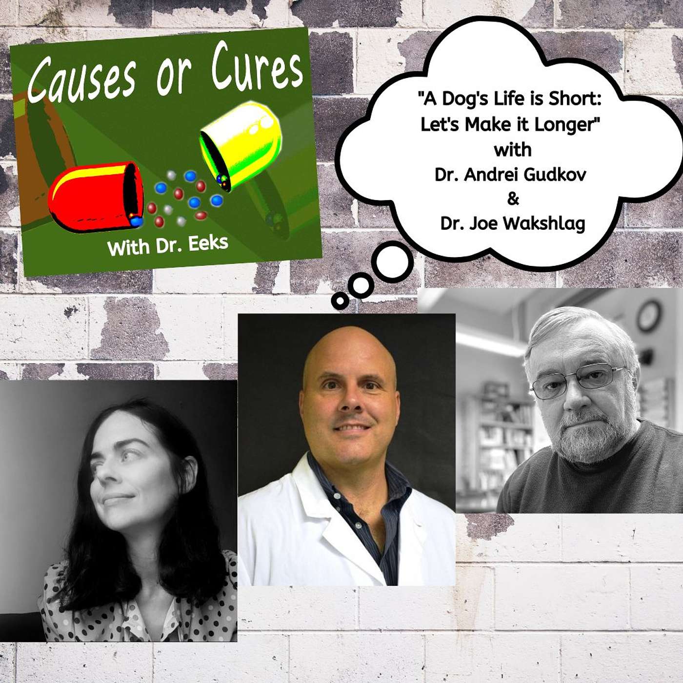 "A Dog's Life is Short, Help Us Make it Longer," with Vaika's Dr. Andrei Gudkov and Dr. Joseph Wakshlag