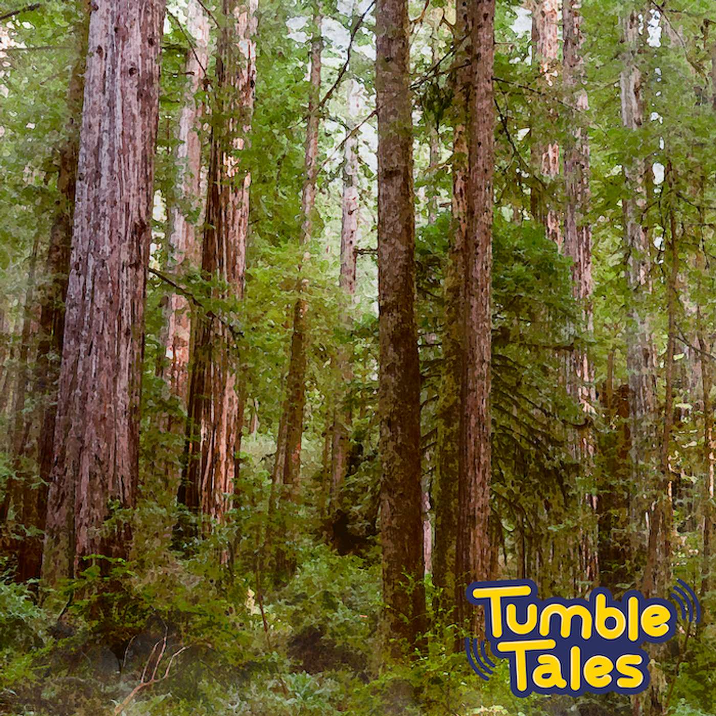 Ep. 9 - Forest Explorers