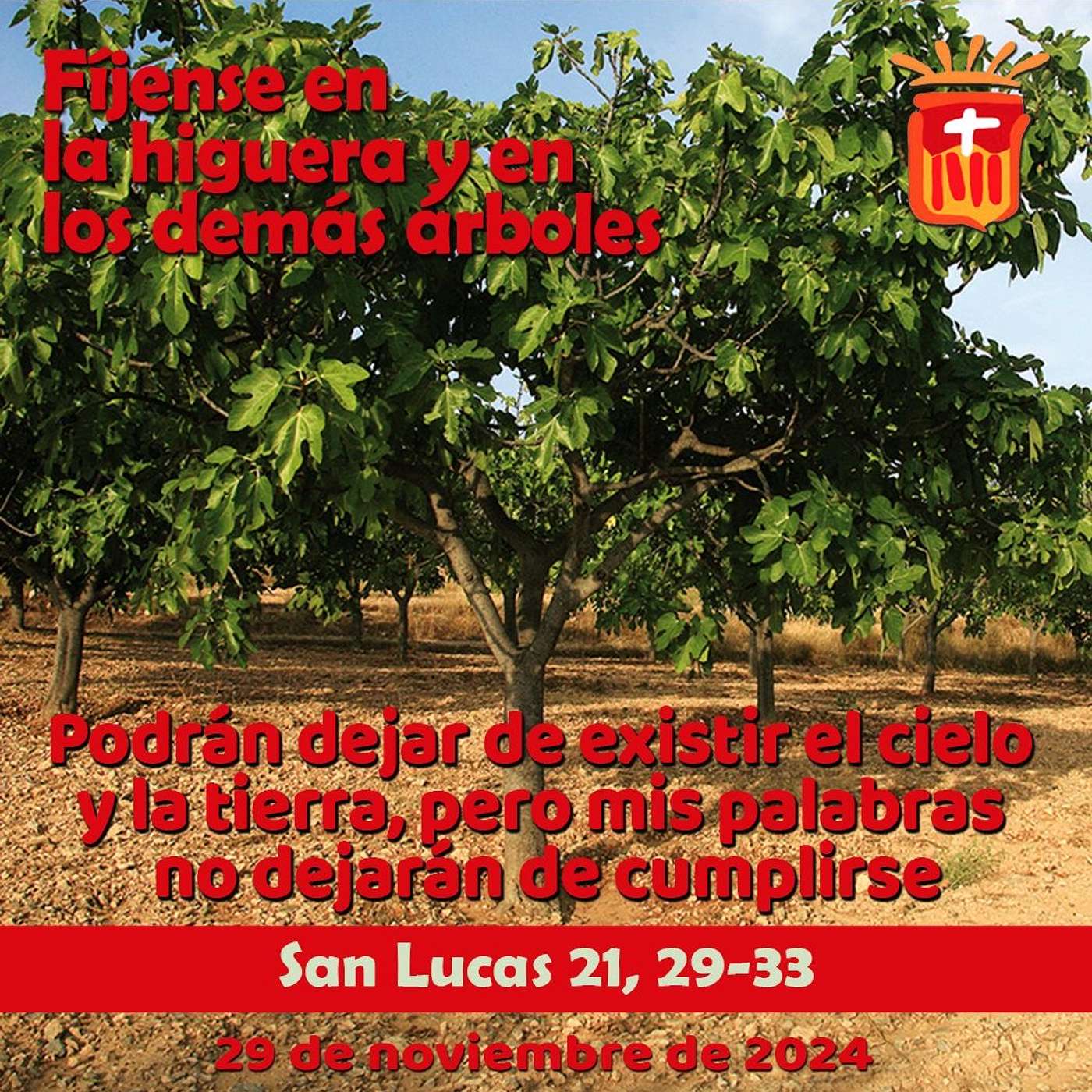 2024-11-29 San Lucas 21, 29-33: Viernes XXXIV Ordinario