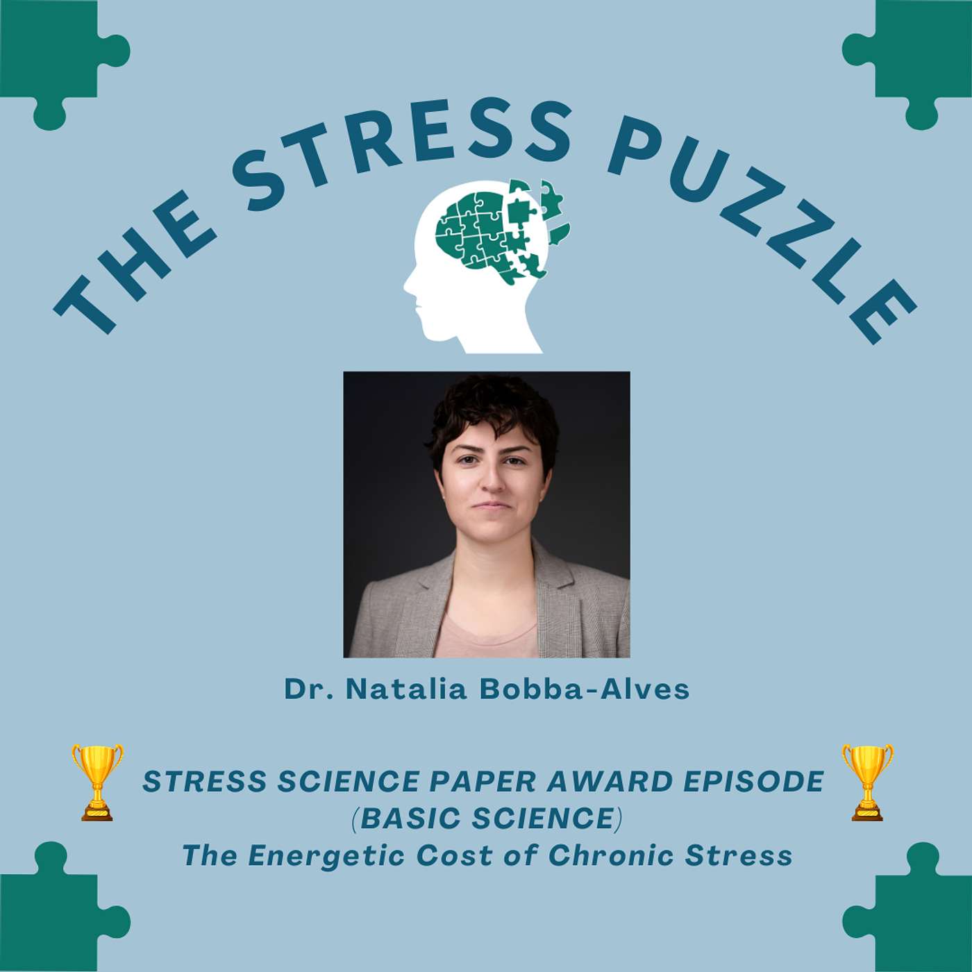 The Stress Puzzle