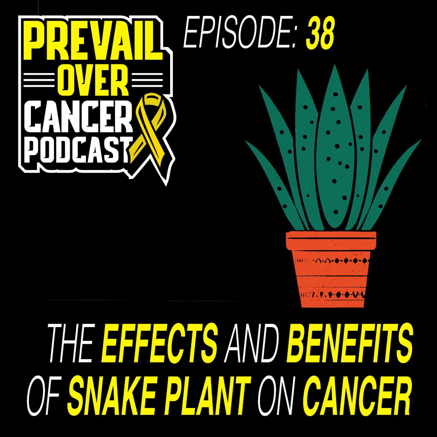 Prevail Over Cancer Podcast