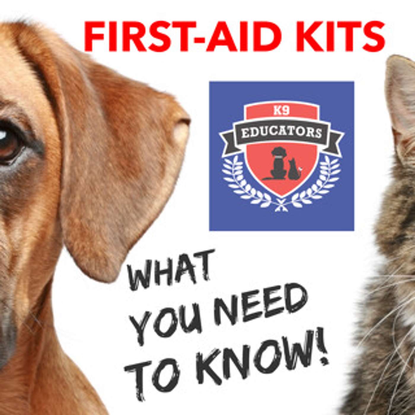 K9 Educators - To Save a Pets Life