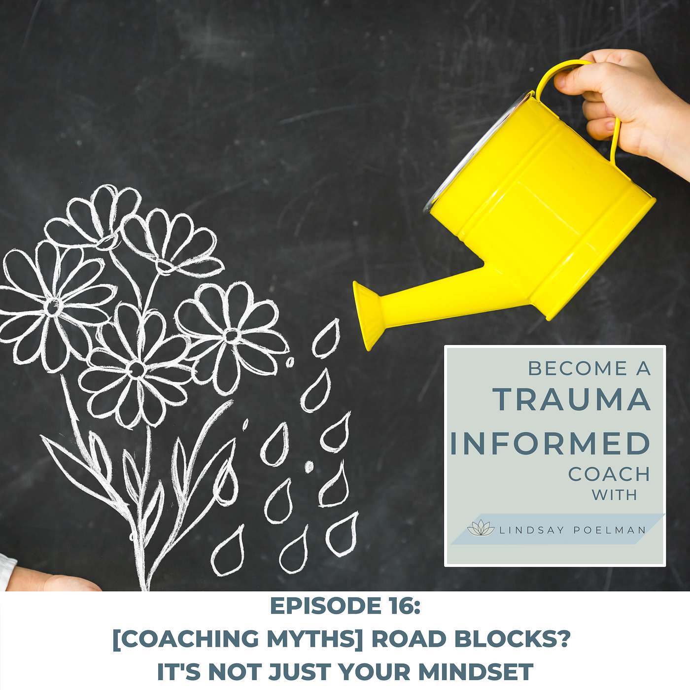 Become A Trauma Informed Coach