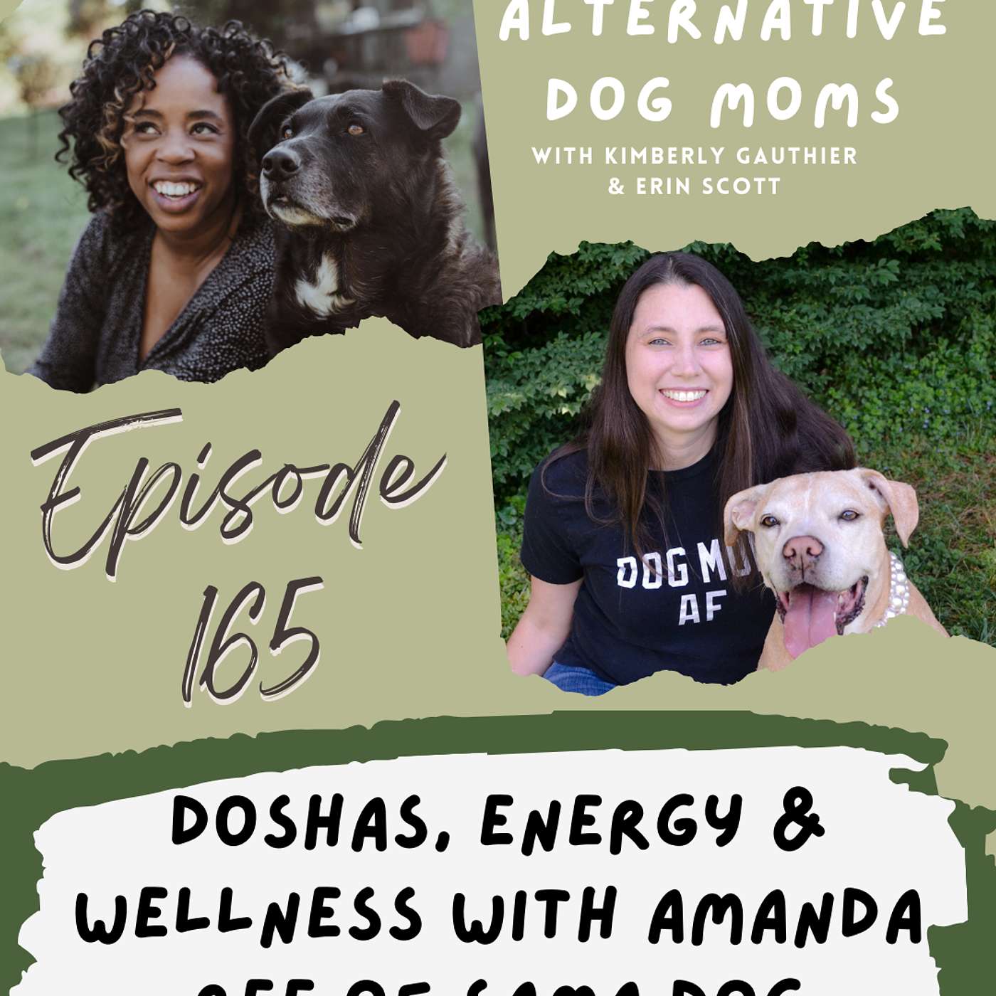 What Ayurveda Reveals About Your Dog: Doshas, Energy & Wellness with Amanda Ree of Sama Dog