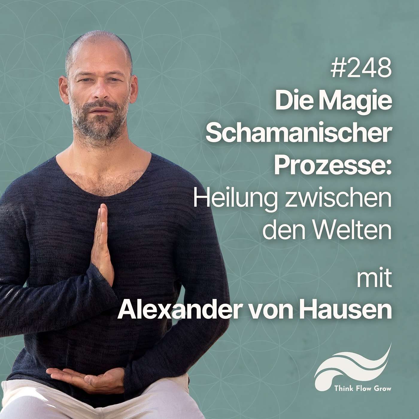 Heilung zwischen den Welten und die Magie schamanischer Prozessarbeit mit Alexander von Hausen | #249