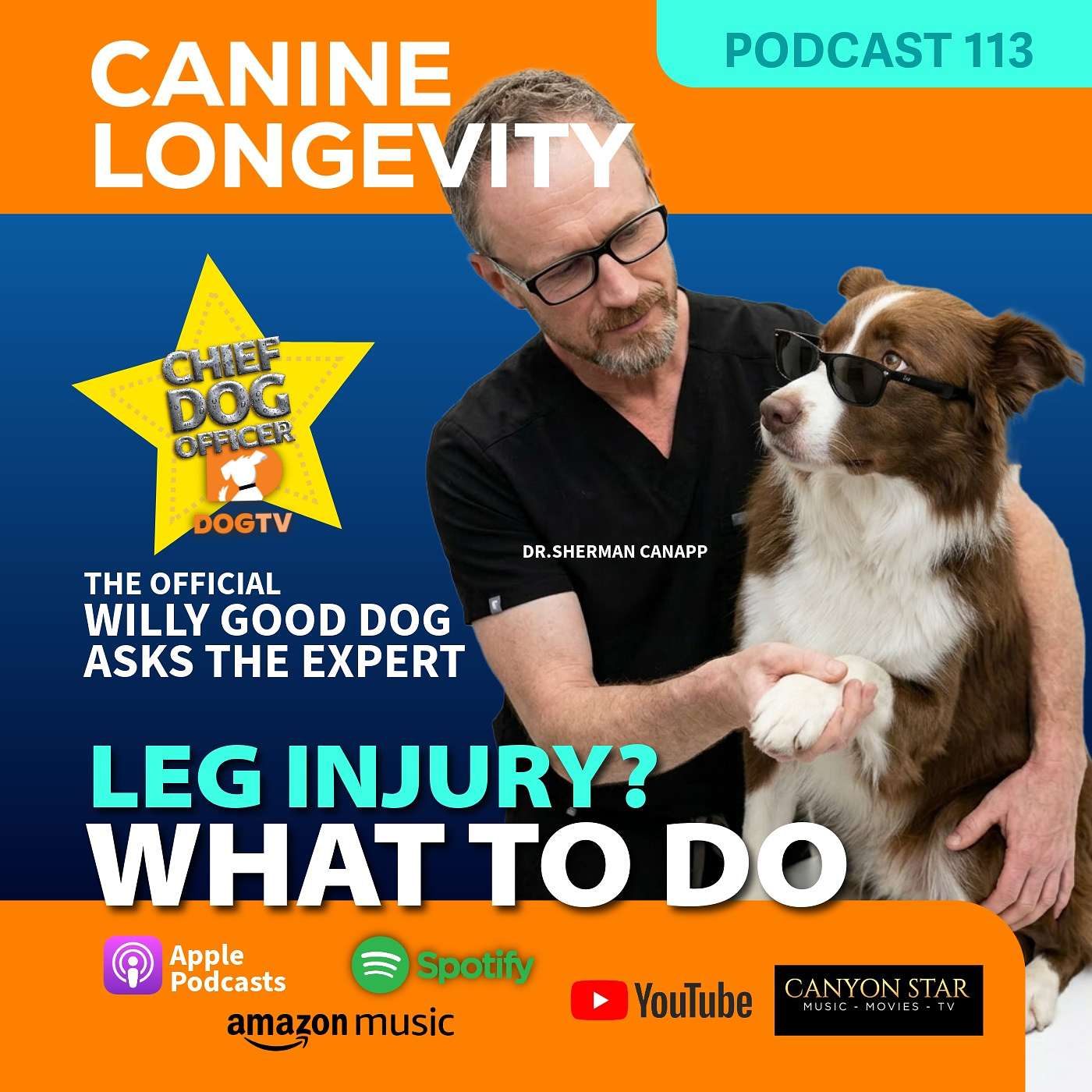 Popular Canine Influencer Willy Good Dog Sidelined With Leg Injury