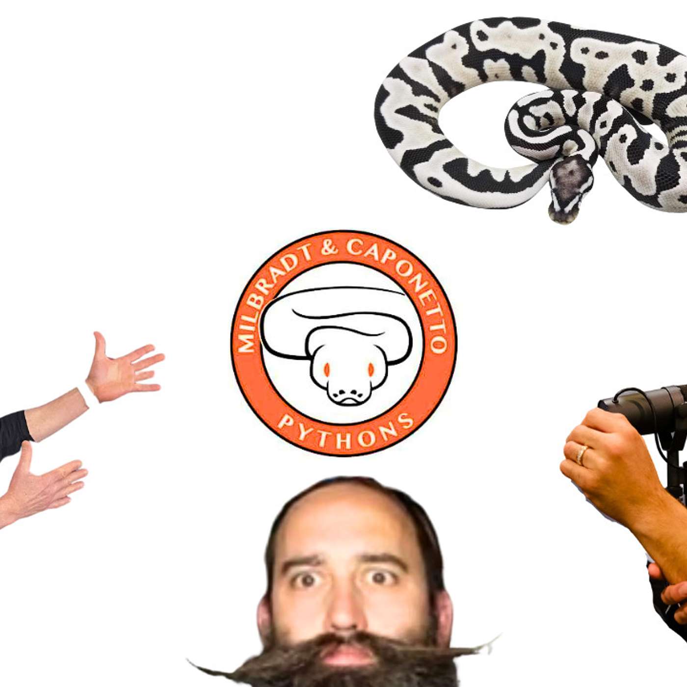 What's keeping Jake Milbradt in the Ball Python game?