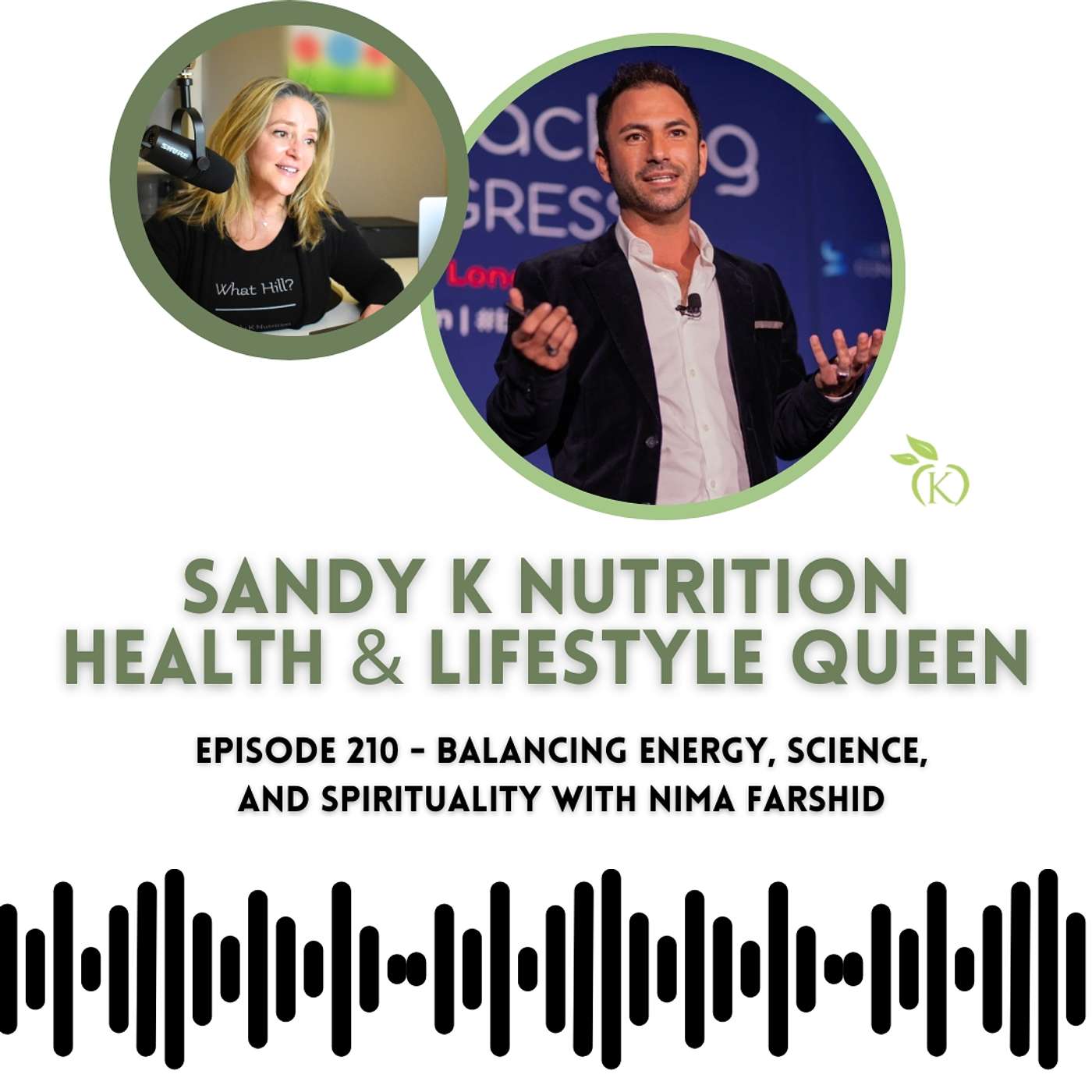 Episode 210 - Balancing Energy, Science, and Spirituality with Nima Farshid