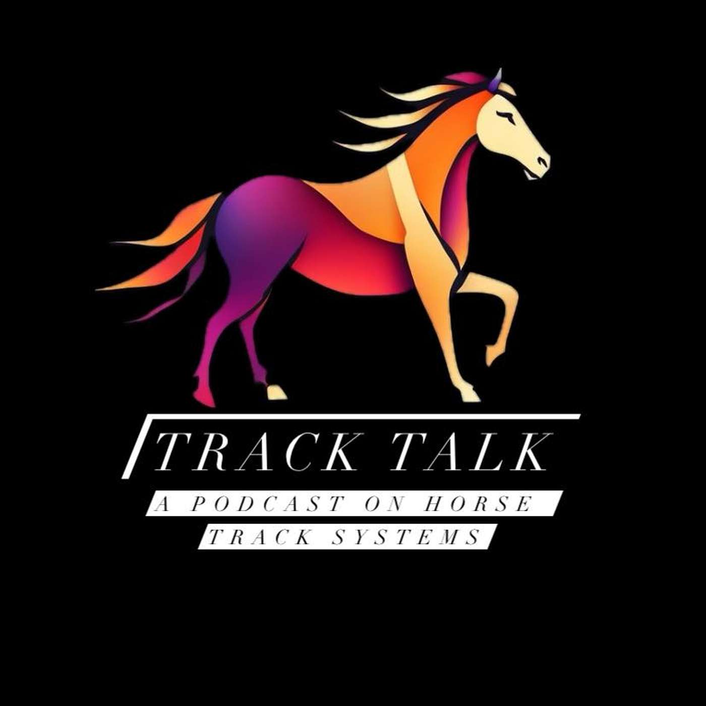 #13 Solo episode (Mild) Winter horse care on Track