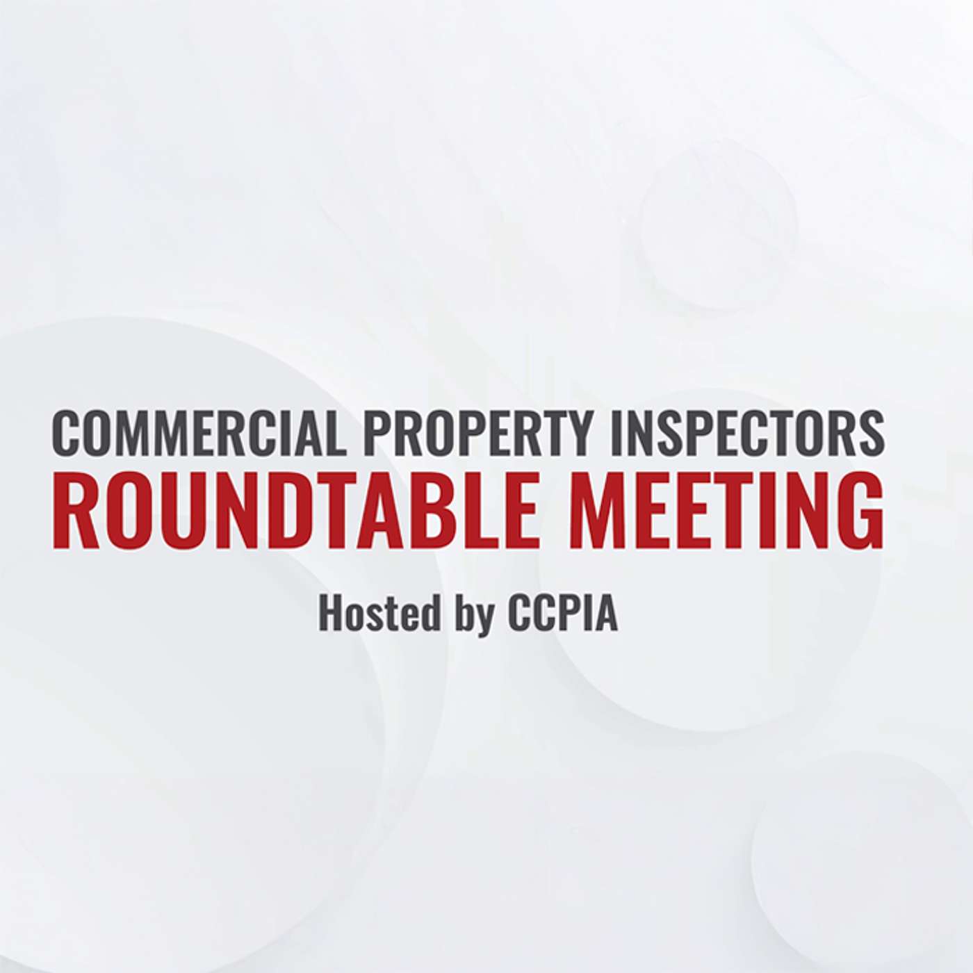 Commercial Property Inspectors Roundtable Meeting #17
