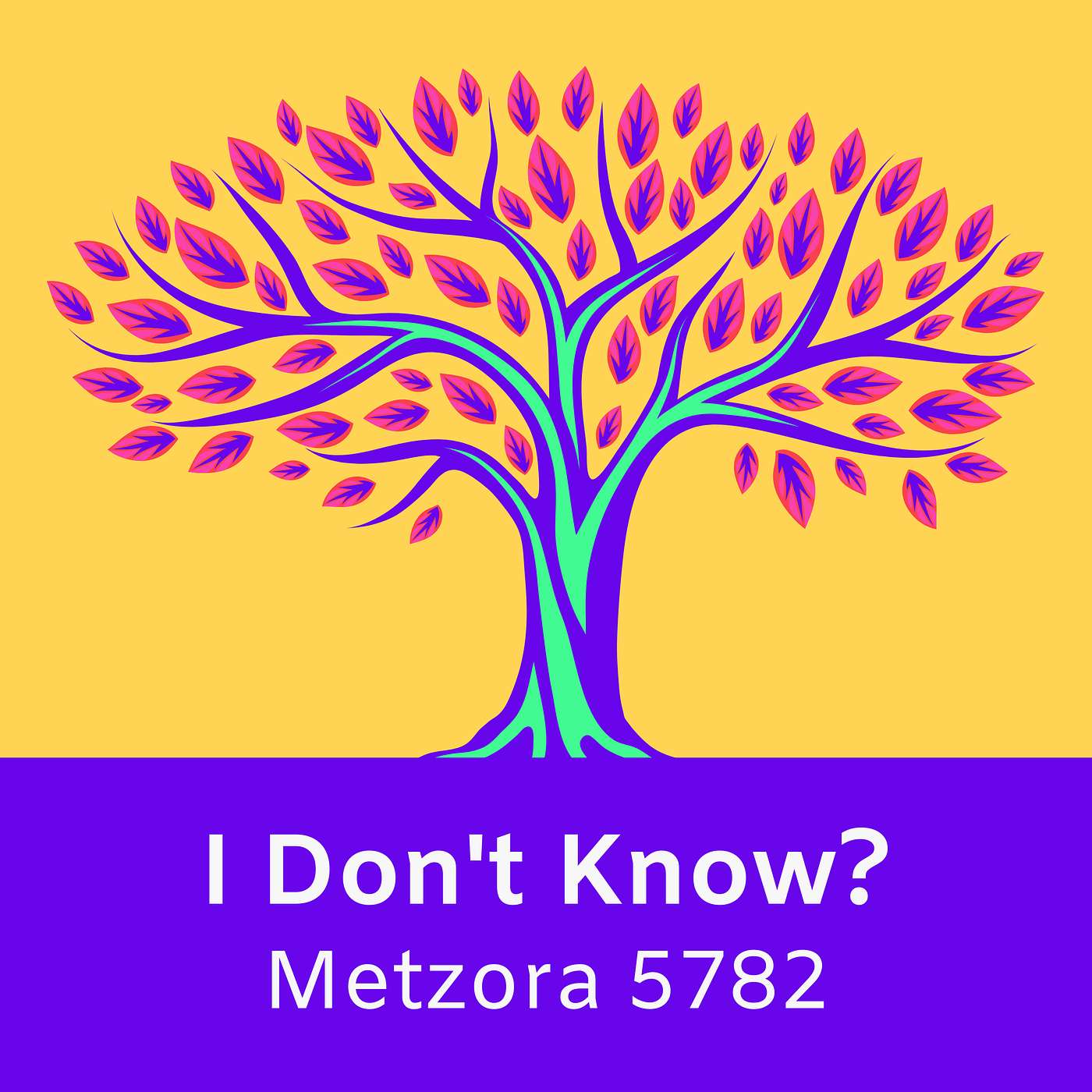 Modern Torah