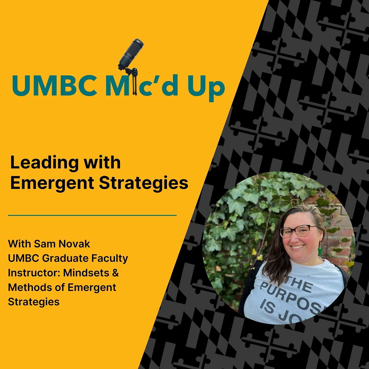 Leading with Emergent Strategies episode artwork