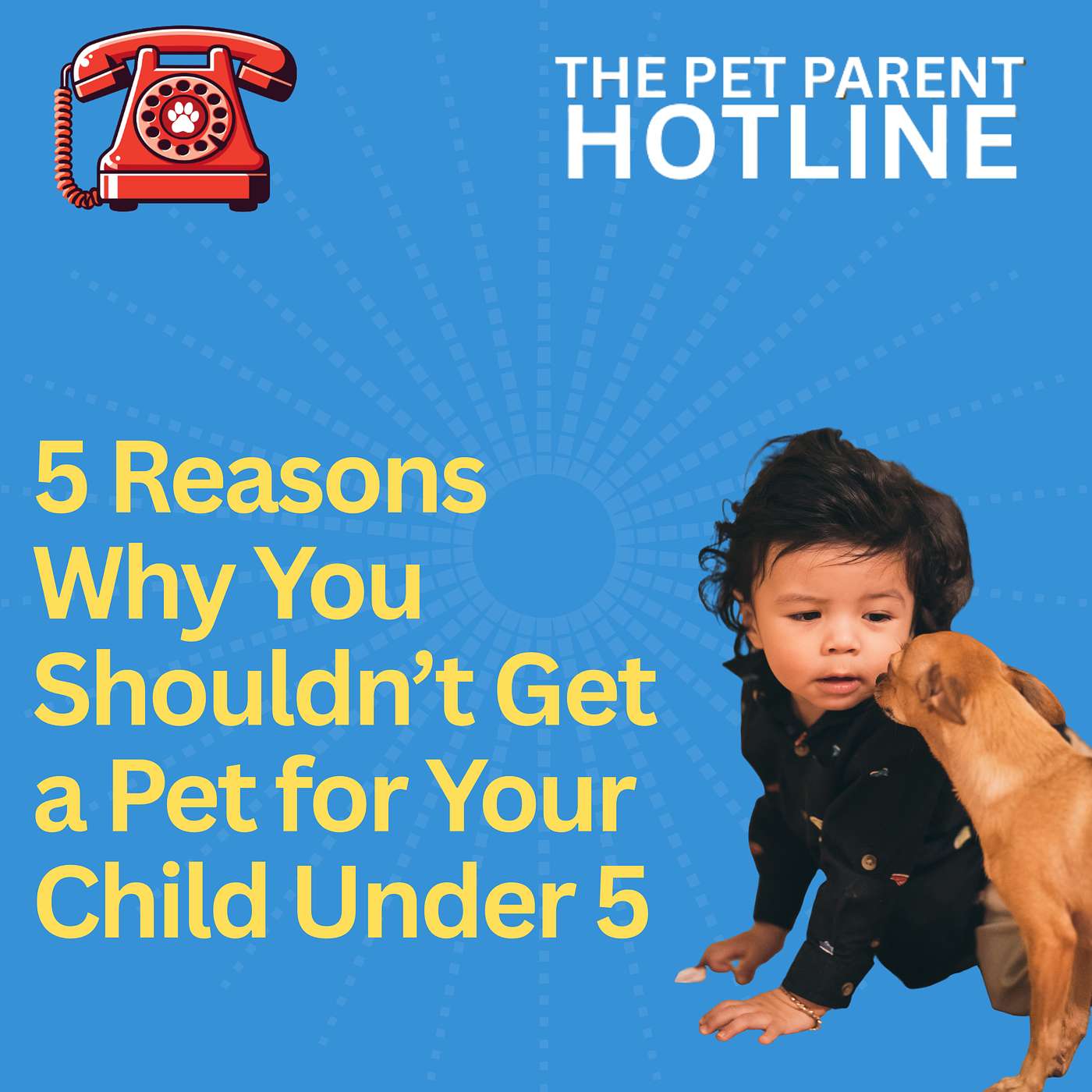 5 Reasons Why You Shouldn’t Get a Pet for Your Child Under 5
