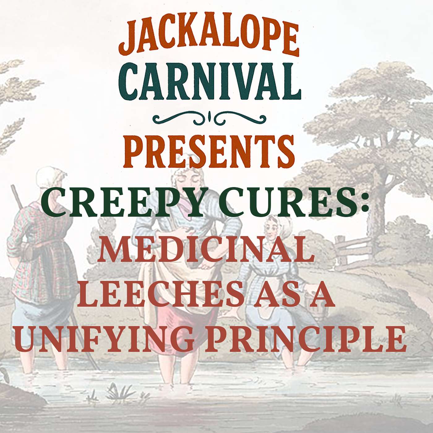 Creepy Cures: Medicinal Leeches as a Unifying Principle