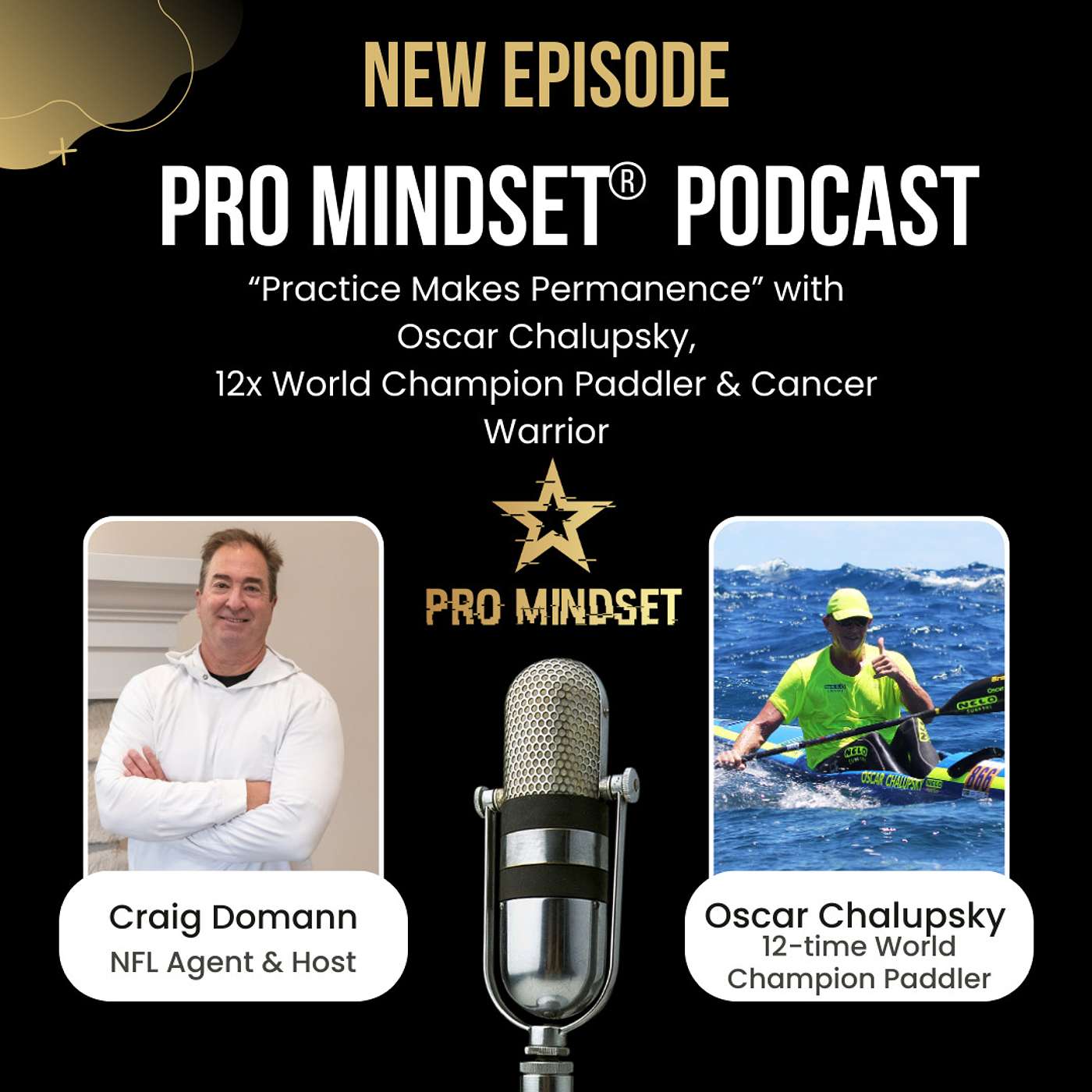 Pro Mindset® Podcast