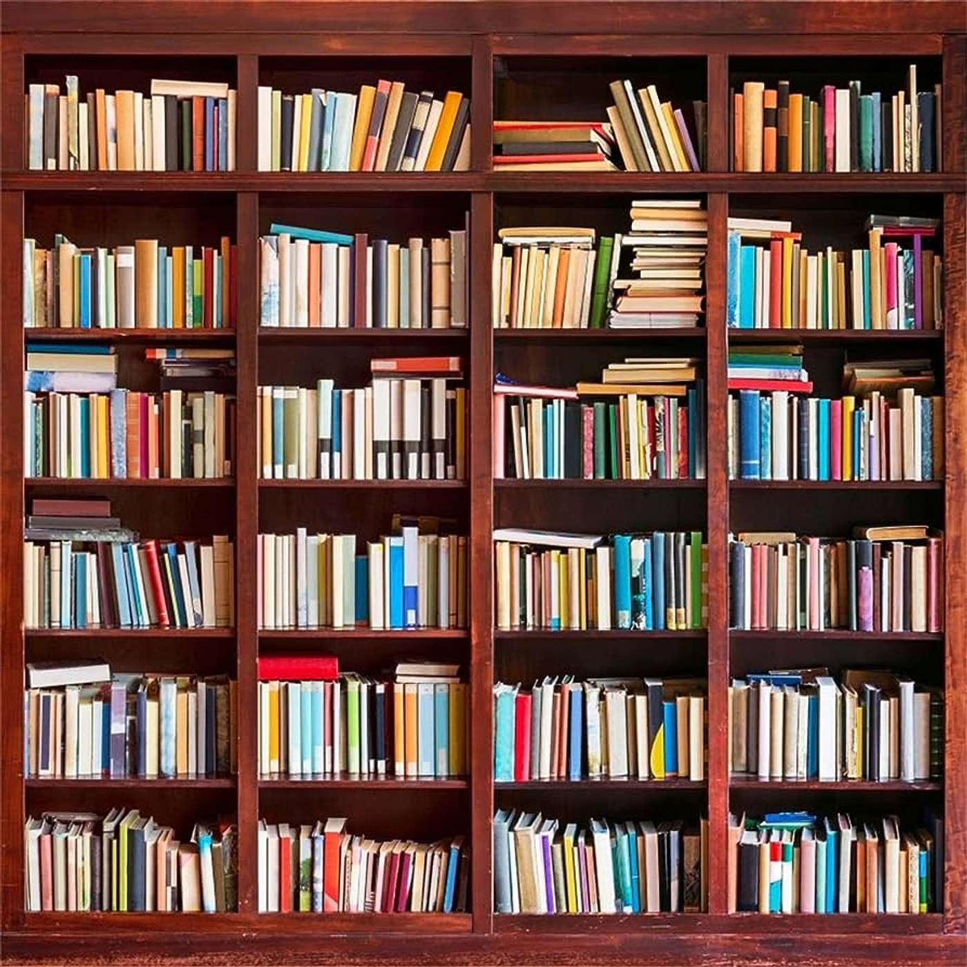 The BookShelf